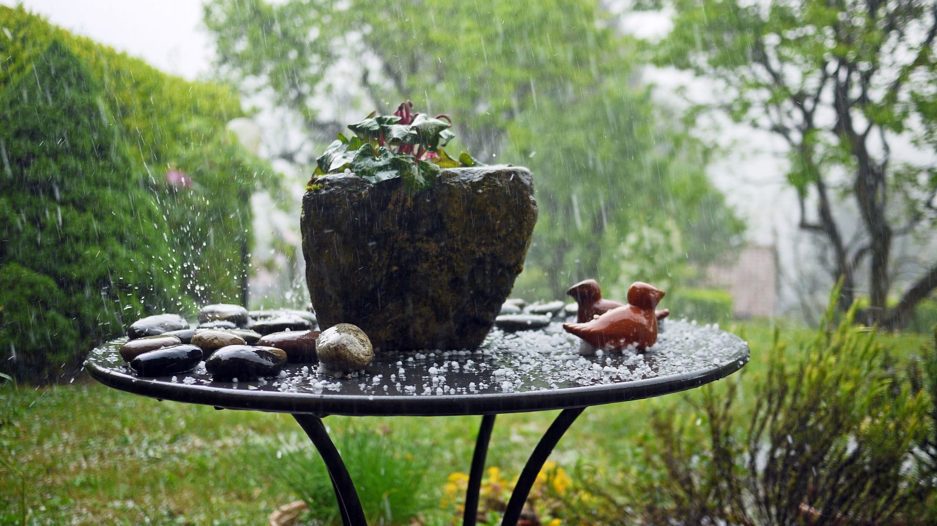 Après de fortes pluies, il est utile d’inspecter les pots présents au jardin. Si les racines des plantes restent baignées dans un excès d’eau, elles risquent de pourrir rapidement.