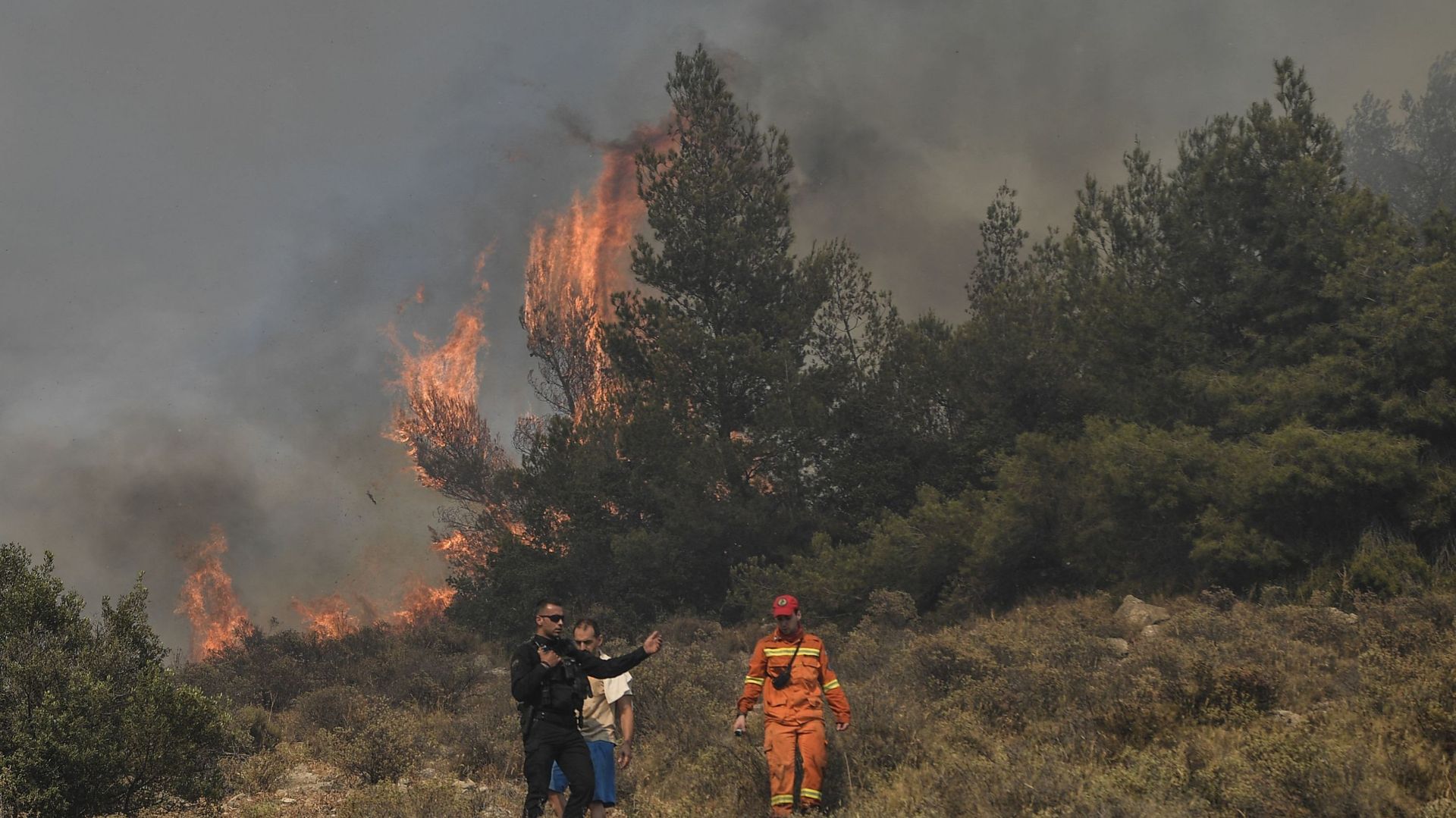 Un feu de forêt brûle près de maisons dans le quartier de Panorama Voulas, au sud d’Athènes, le 4 juin 2022.