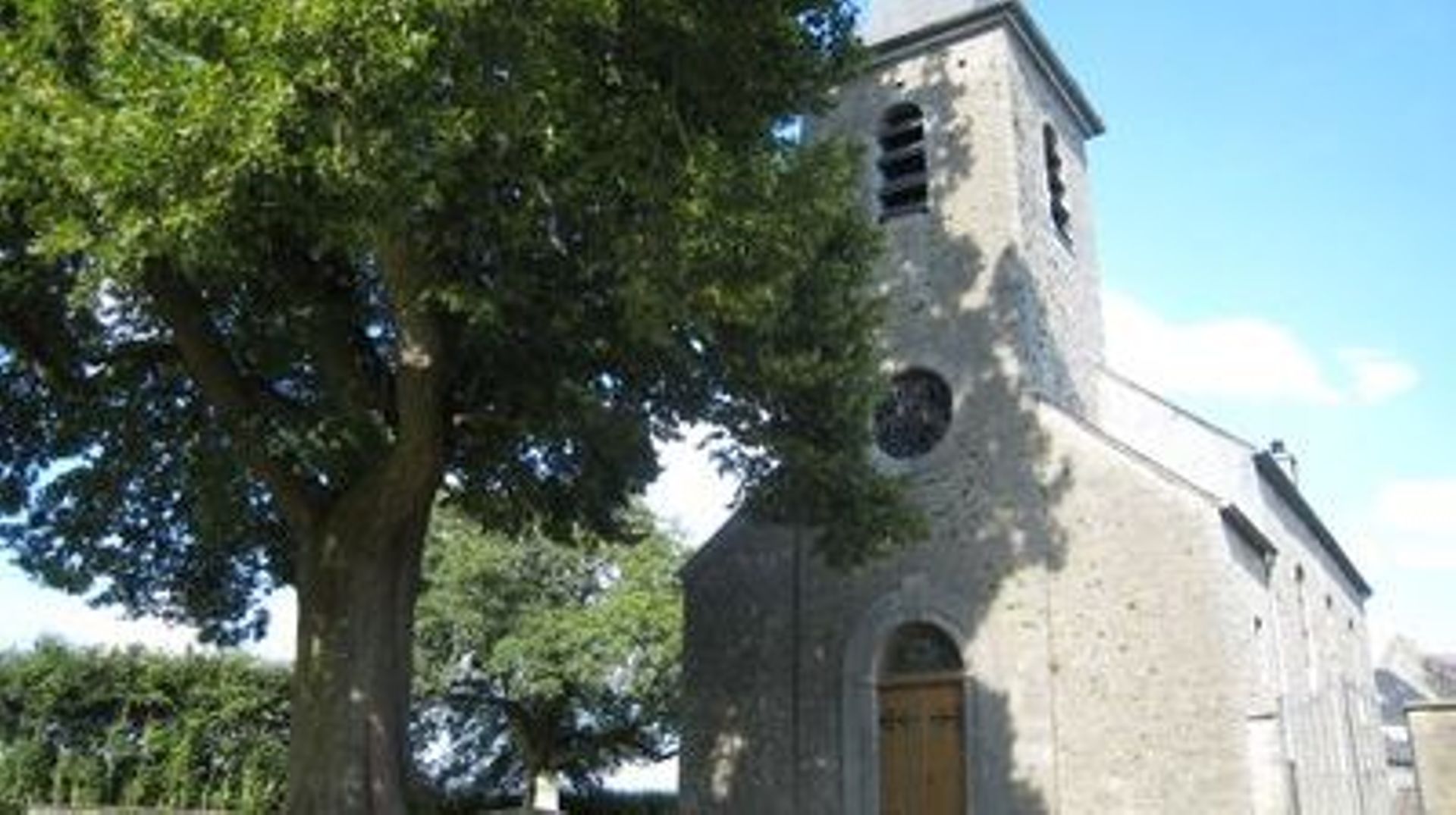 Tilleul devant l'église Saint-Feuillen
