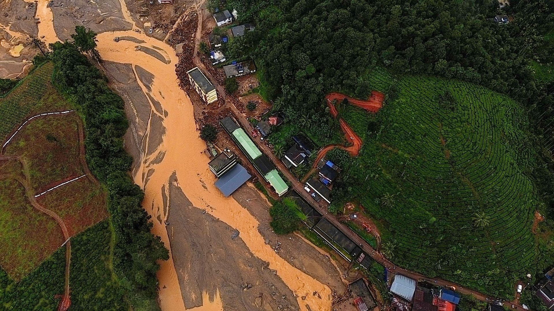 Inondations en Inde : ravage dans les cultures de thé Darjeeling