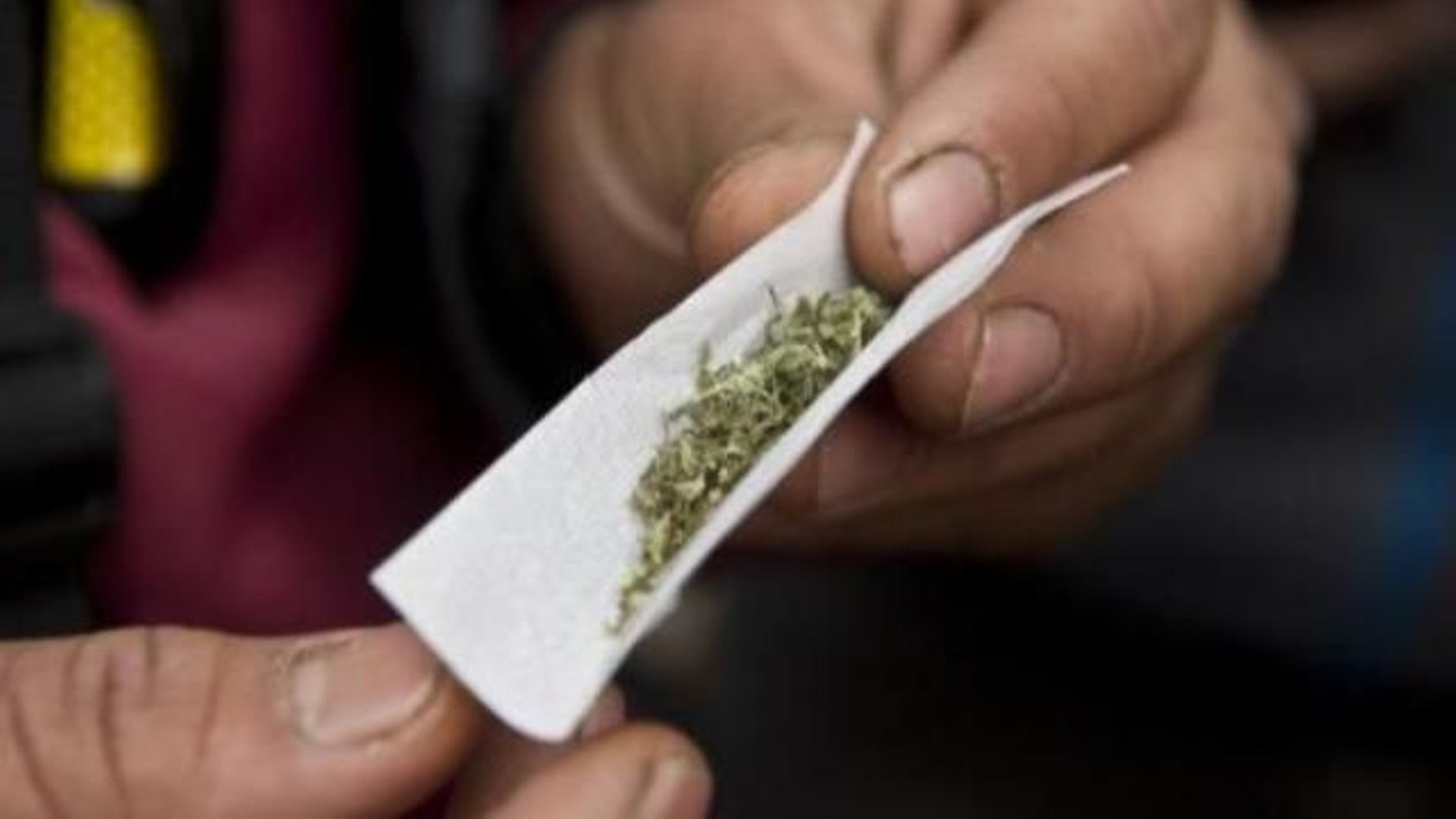 le-cannabis-en-baisse-mais-toujours-drogue-de-predilection-des-jeunes