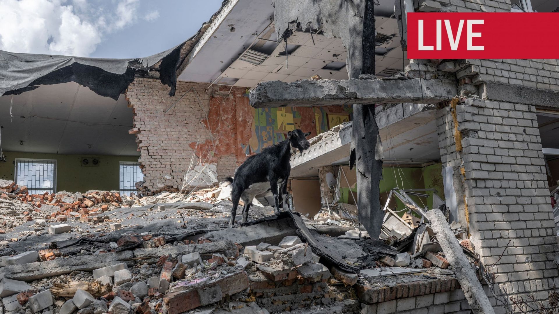 Une chèvre se tient au milieu de ruines à la ligne de front avec les forces russes au sud de Mykolaiv, le 20 août 2022, lors de l’invasion russe de l’Ukraine.
