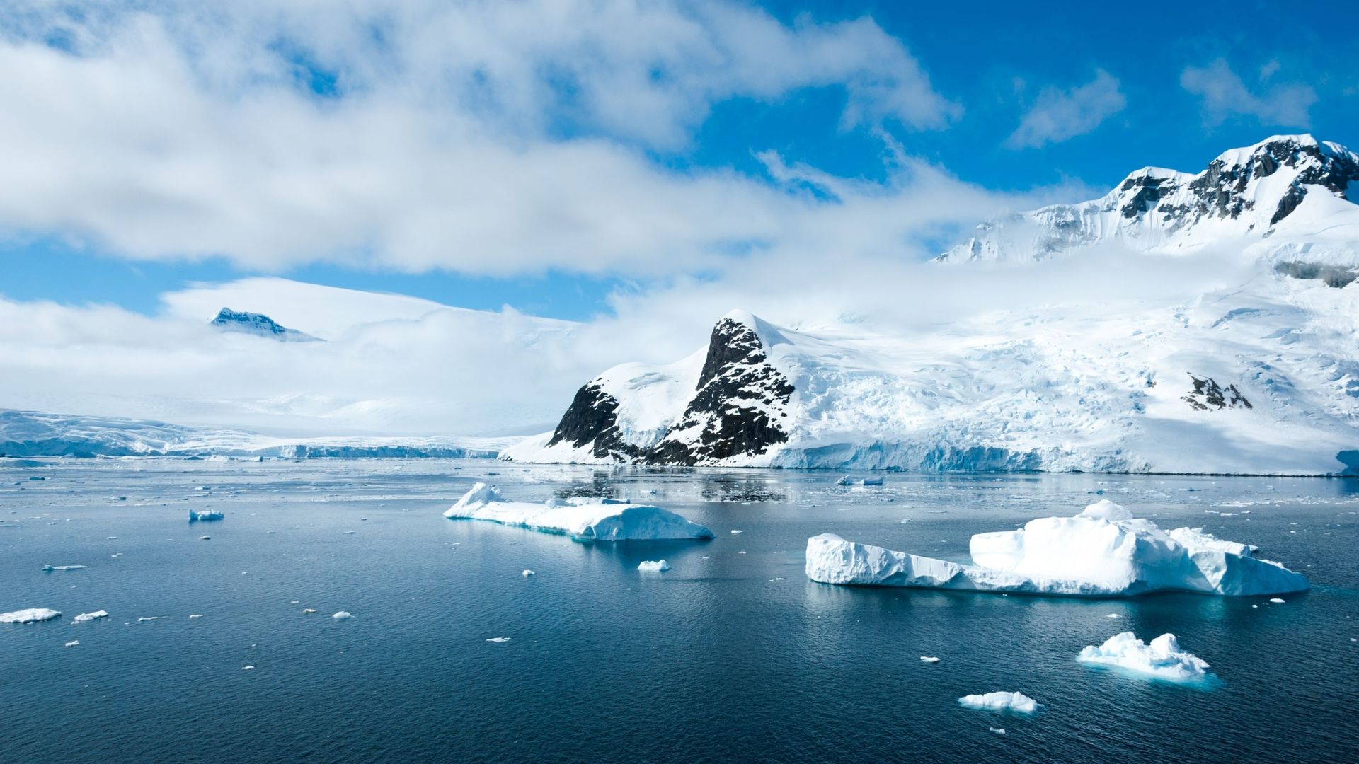 Nouvelle menace pour l'Antarctique: les espèces invasives apportées par l'Homme.