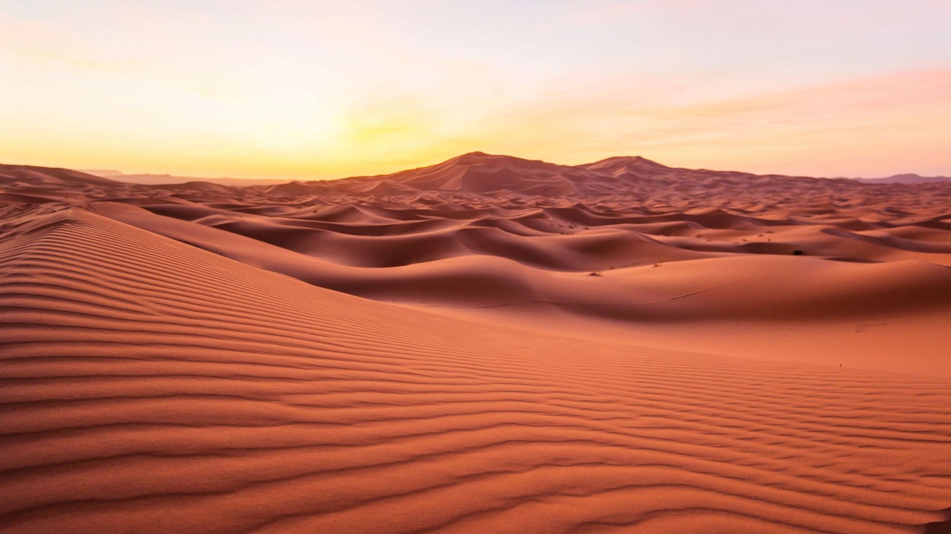 Le désert du Sahara – Découverte de la musique du désert