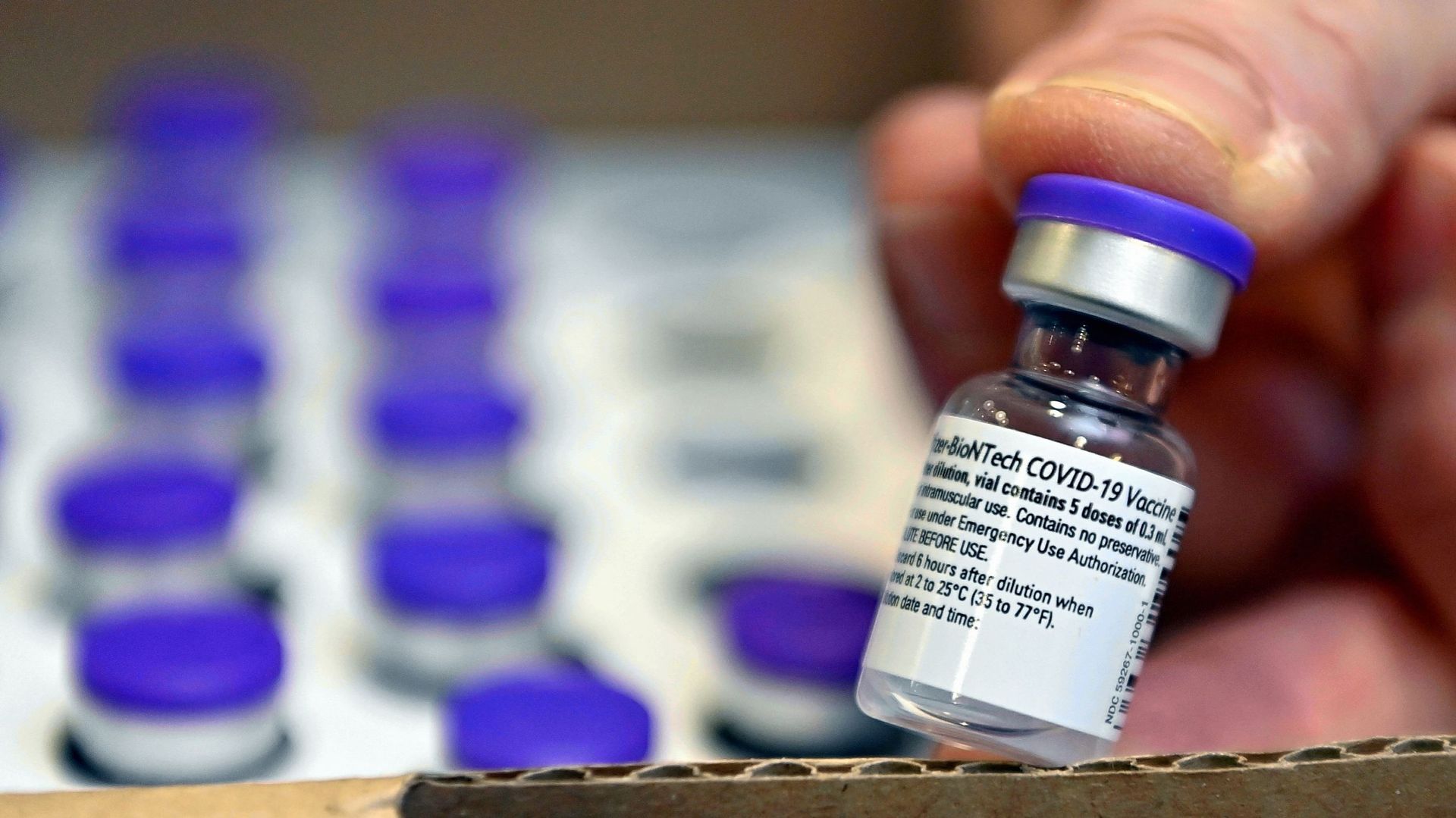 Coronavirus: 35.000 personnes ont été vaccinées en Belgique