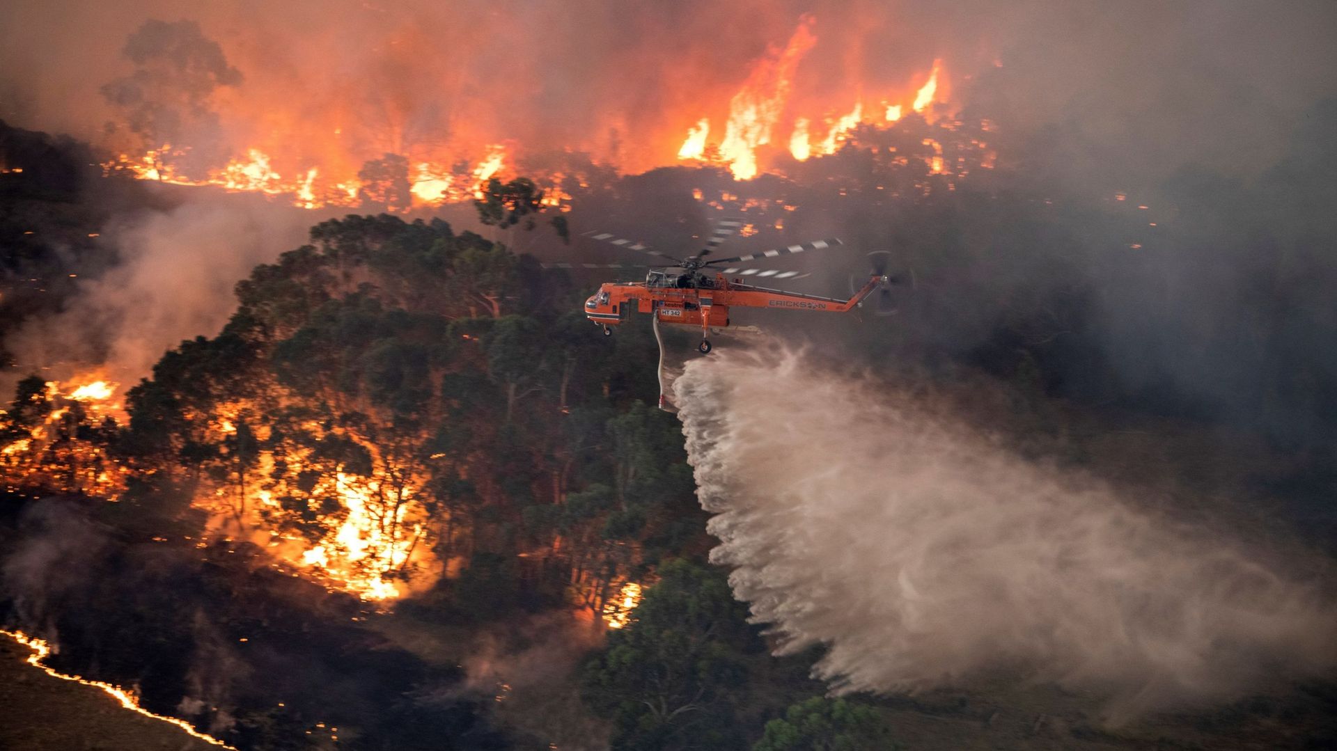 Les fumées dégagées par les feux de forêt en Australie atteignent la Nouvelle-Zélande