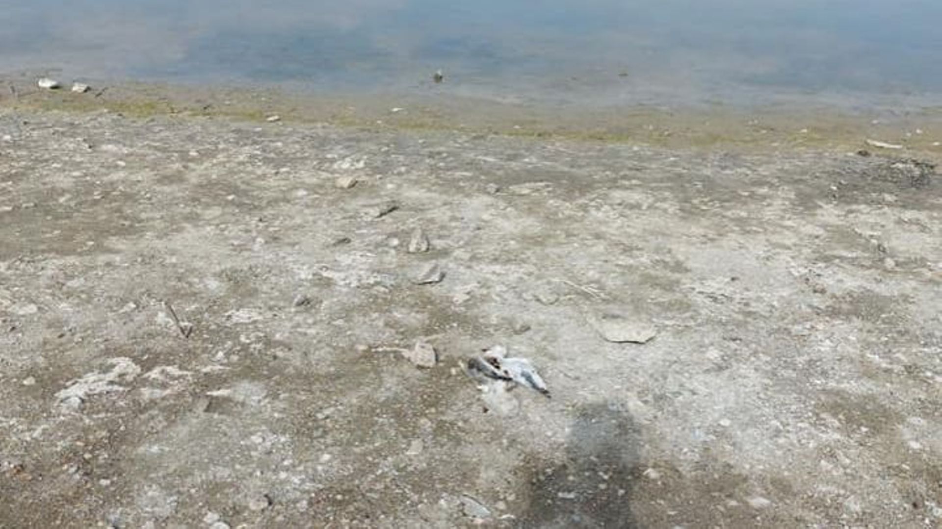 Des rivages abandonnés par les eaux