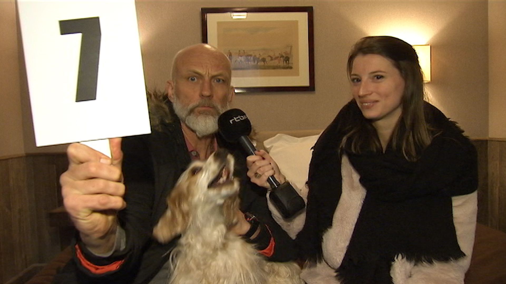 Hôtels chiens admis, à quoi fautil s'attendre? RTBF Actus