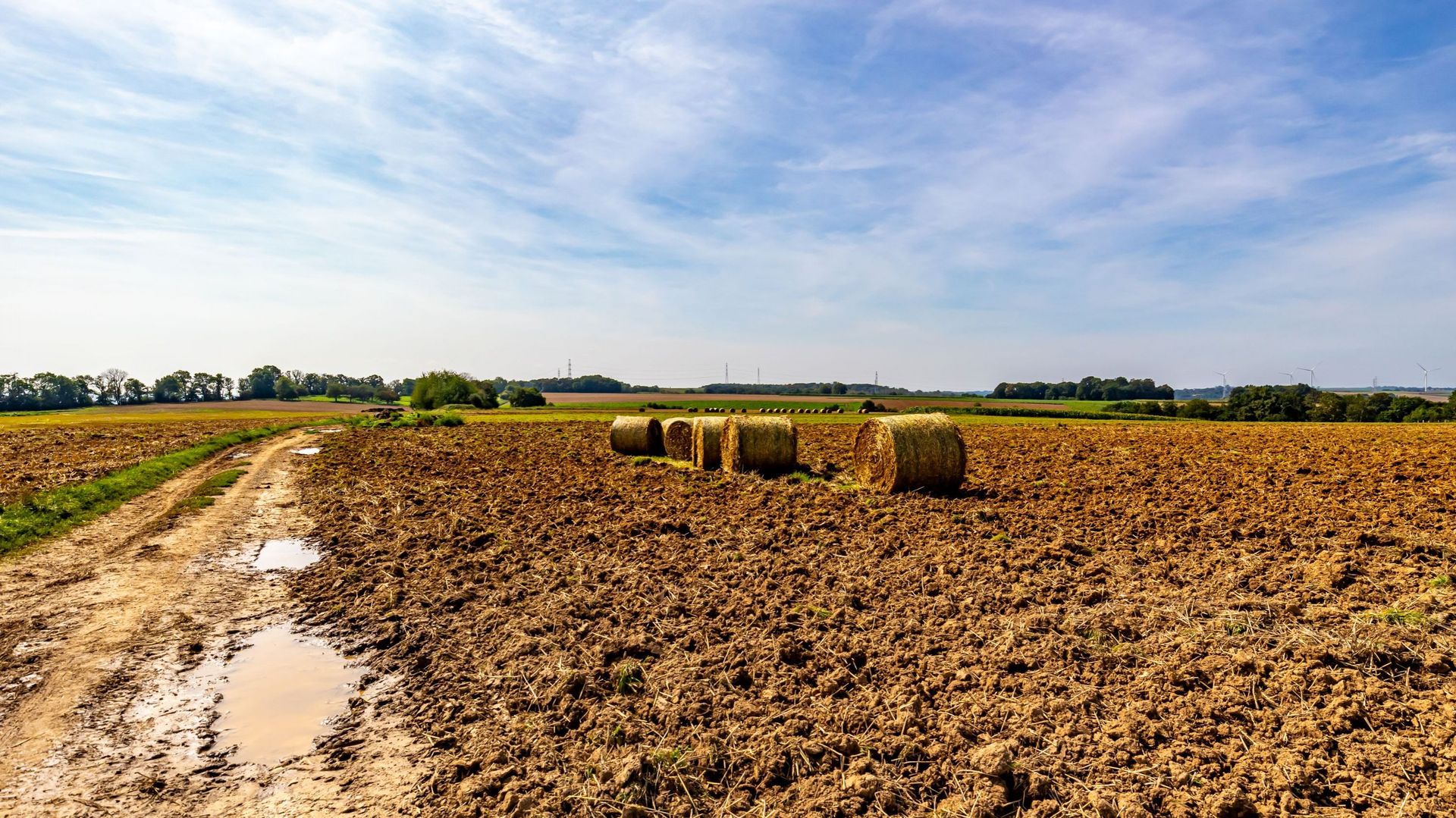 Vente de terres agricoles : et la santé ? Quid si on y pratique l’agriculture intensive à grand renfort de pesticides ?