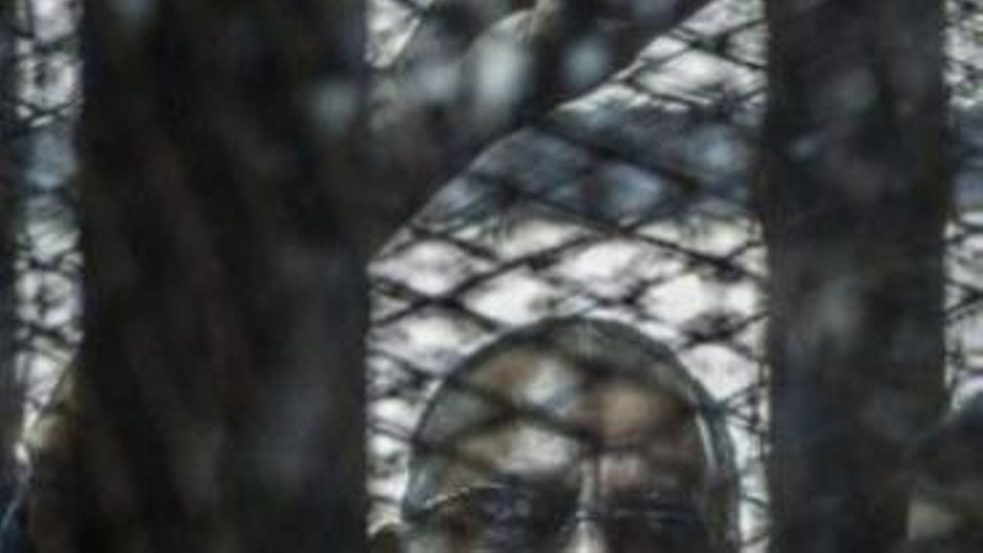 Egypte: la peine de mort confirmée pour le chef des Frères musulmans