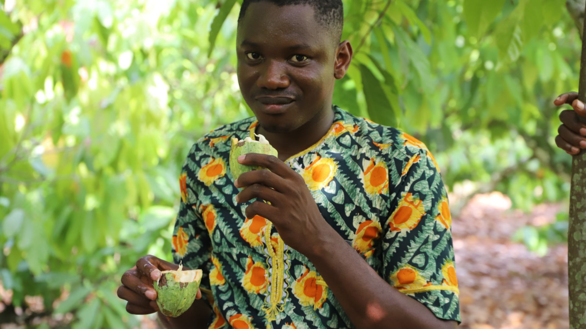 Côte d'Ivoire: au pays du cacao, on ne mange pas de chocolat  