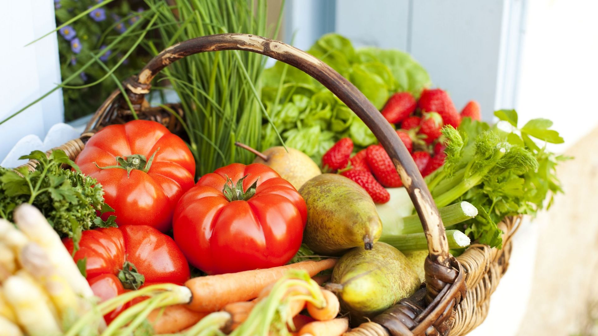 Comment végétaliser nos assiettes et booster sainement notre capital santé ?