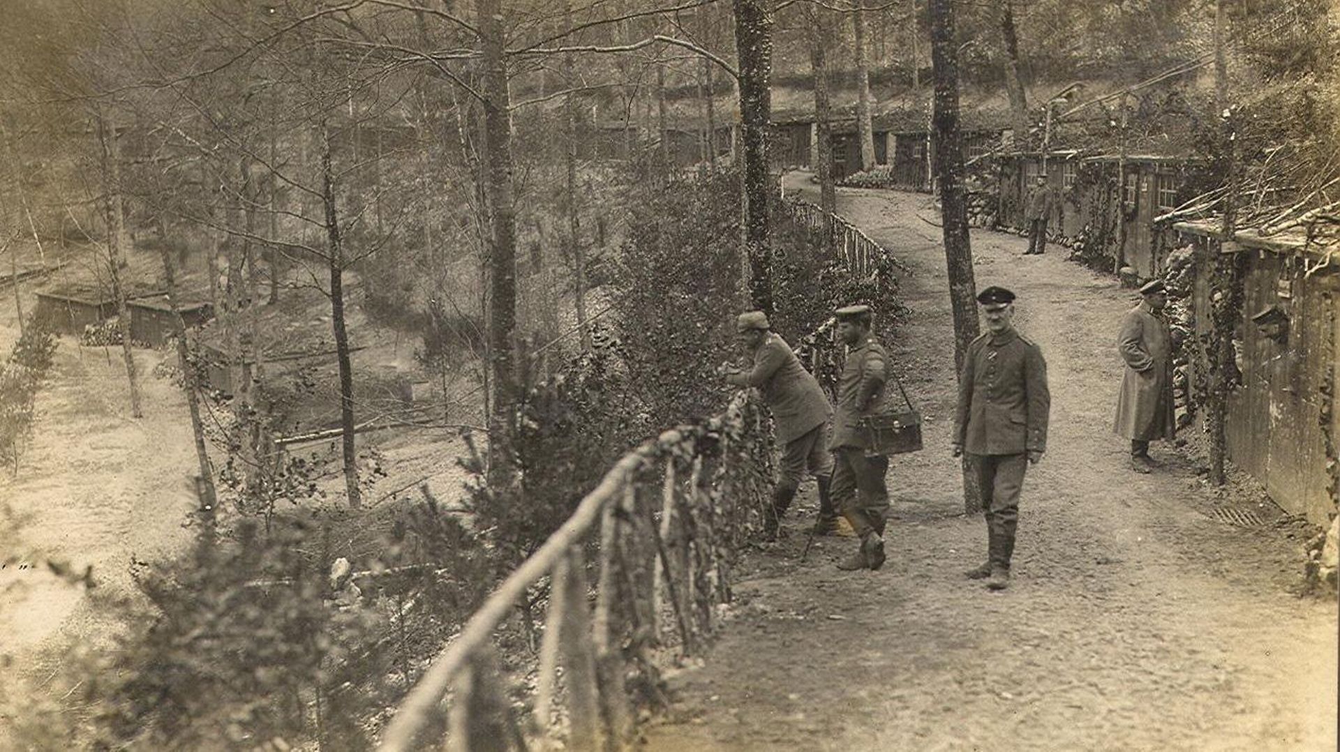 Carte postale du camp de Borrieswald, 1916. Un amphithéâtre naturel avec des chemins à flanc de coteau qui accueillent des quartiers d’habitation.