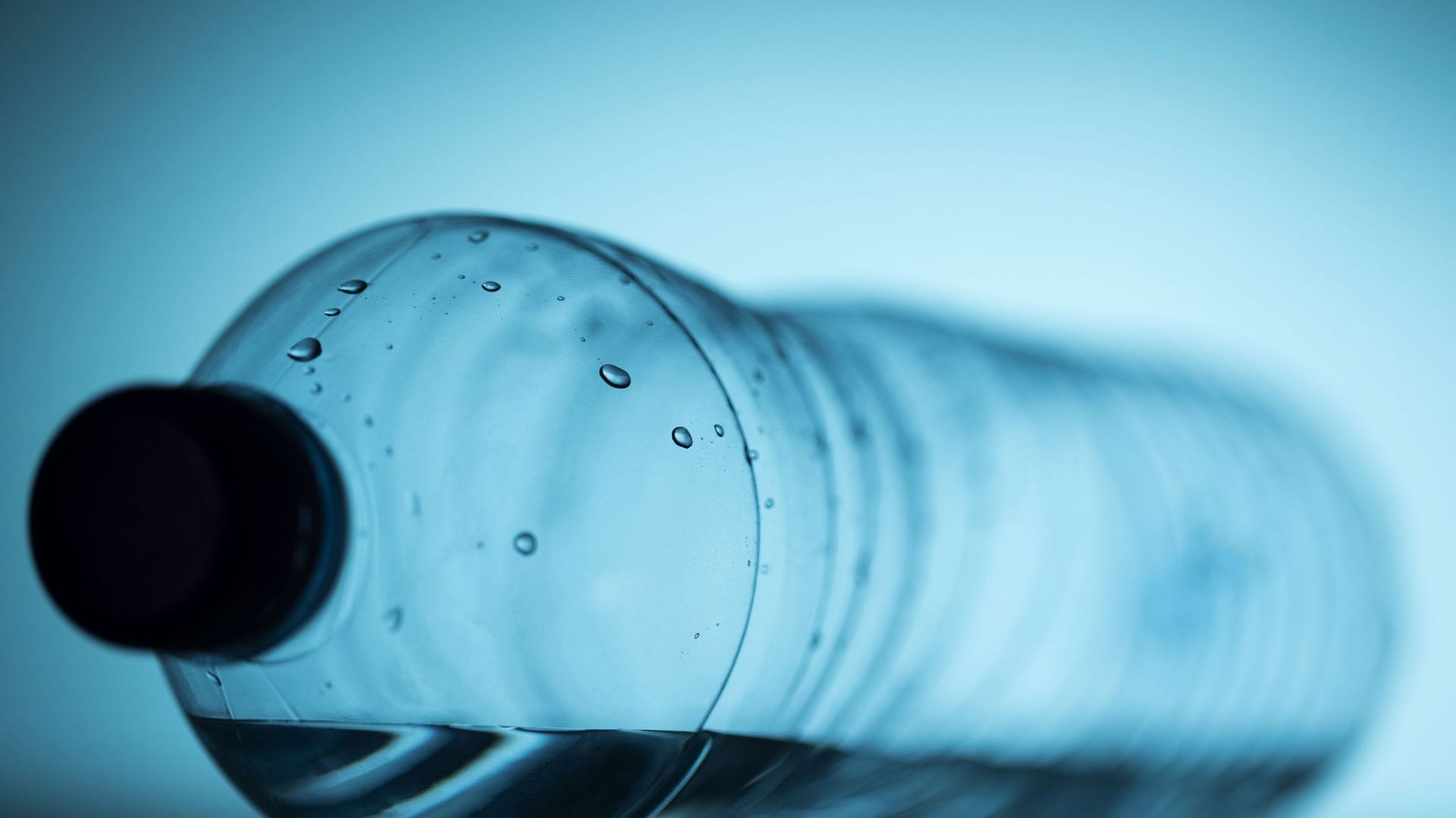 Selon Ecover, les canettes et bouteilles en plastique en PET (pour polytéréphtalate d'éthylène) représentent 40% du volume des déchets sauvages.