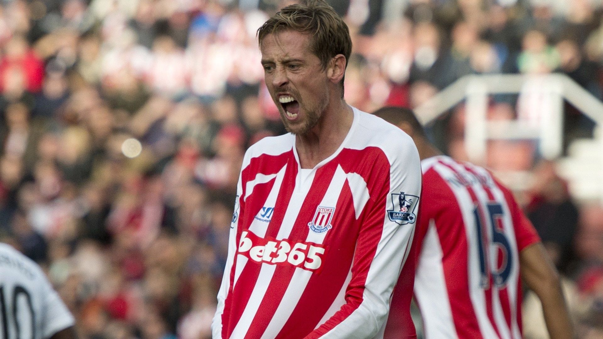 Peter Crouch, Stoke City