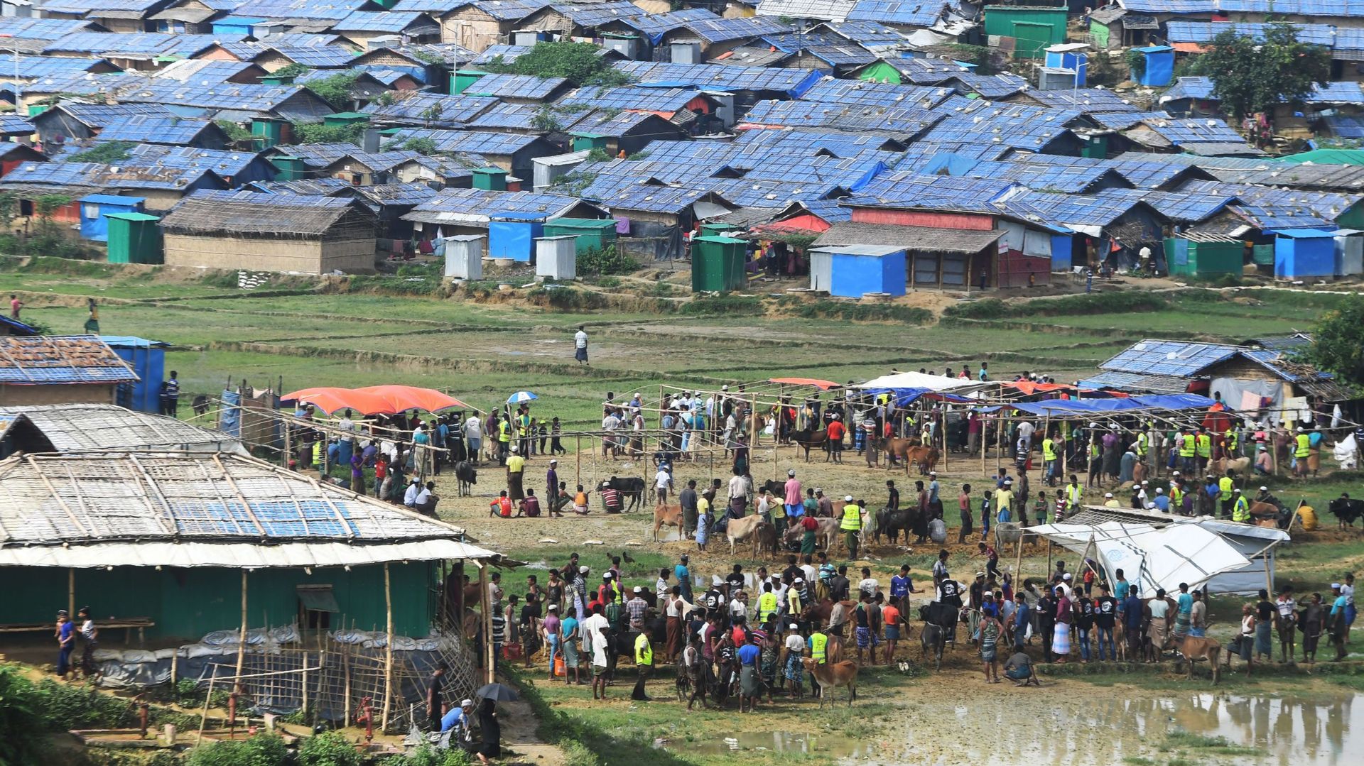 Oubliés, 129.000 Rohingyas restés en Birmanie dépérissent dans des camps