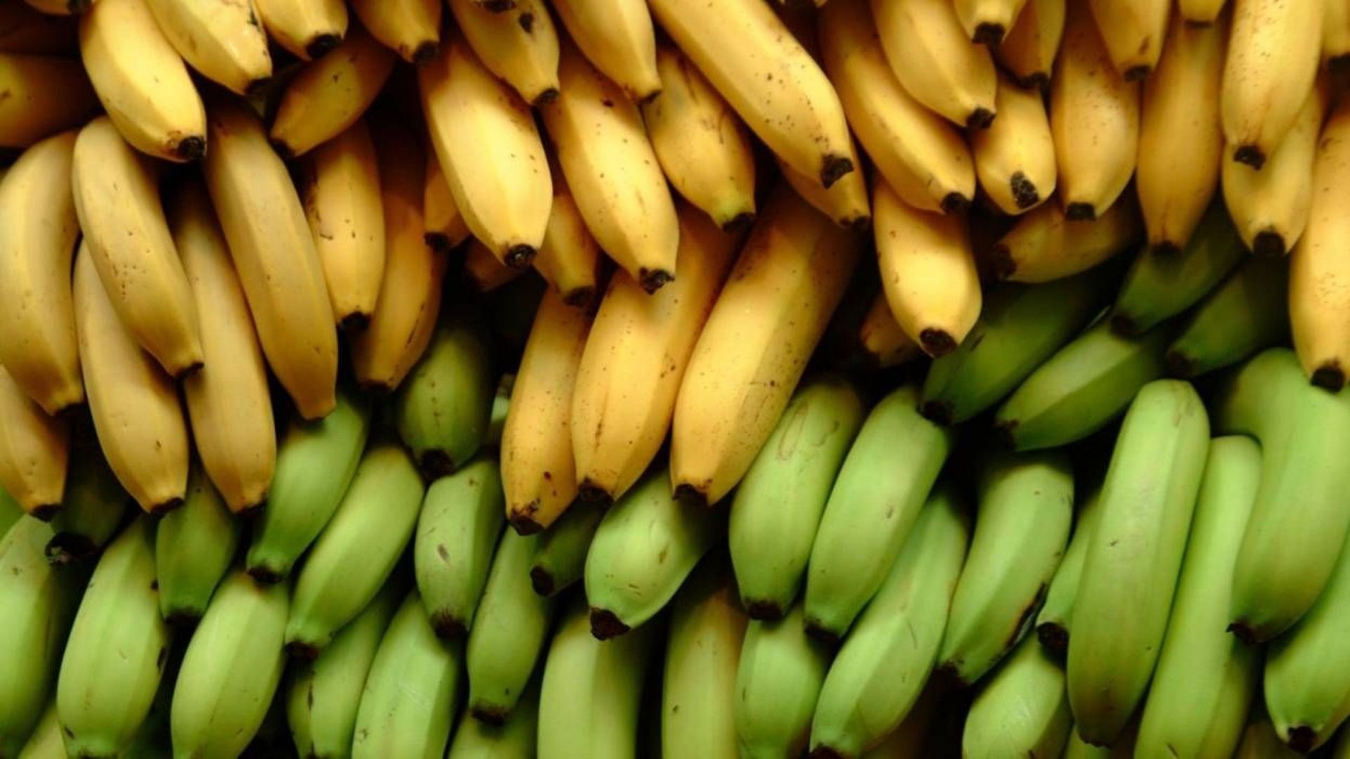 Commerce équitable: opération banane à la gare de Liège-Guillemins