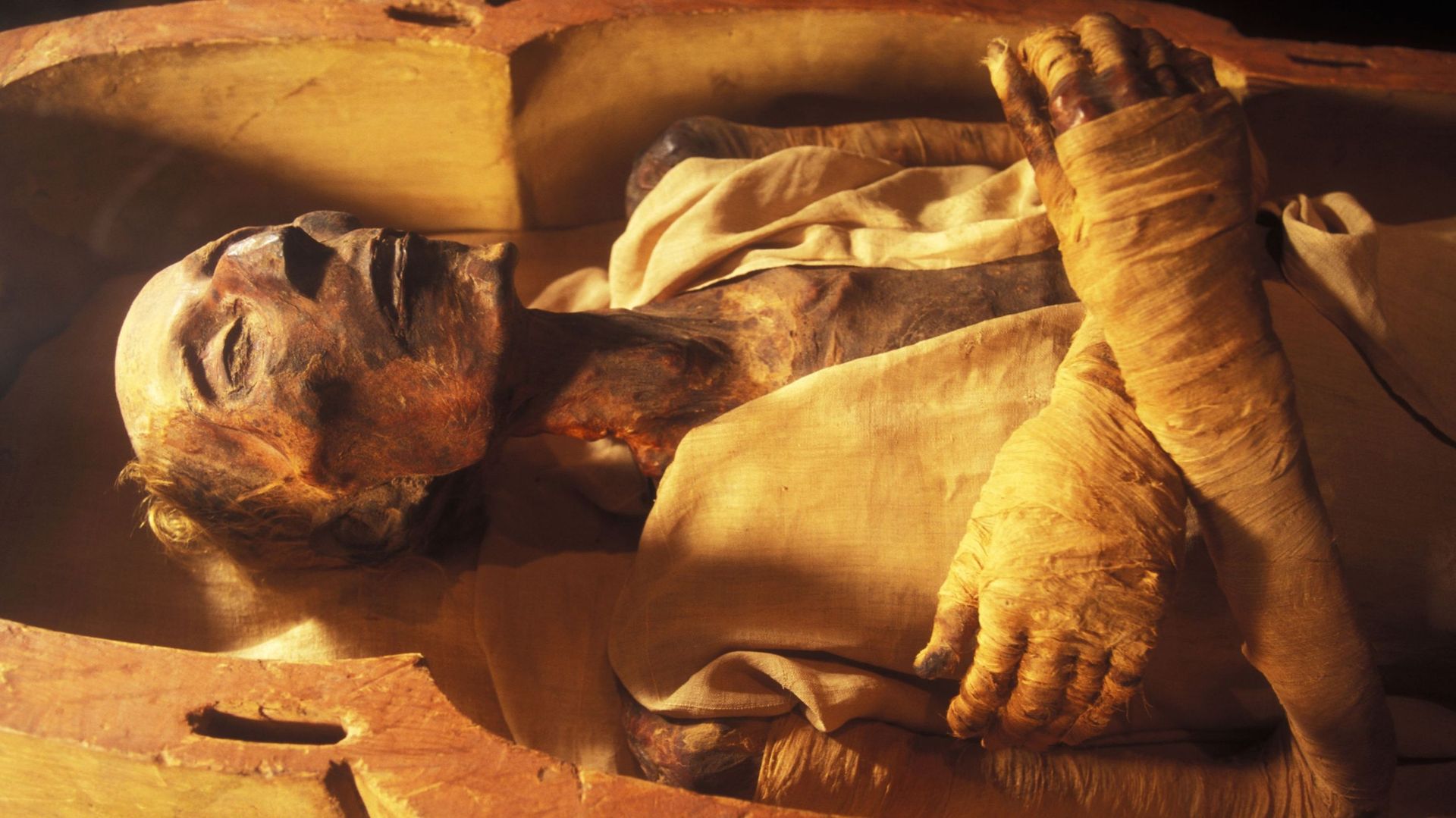 La momie du pharaon Ramsès II