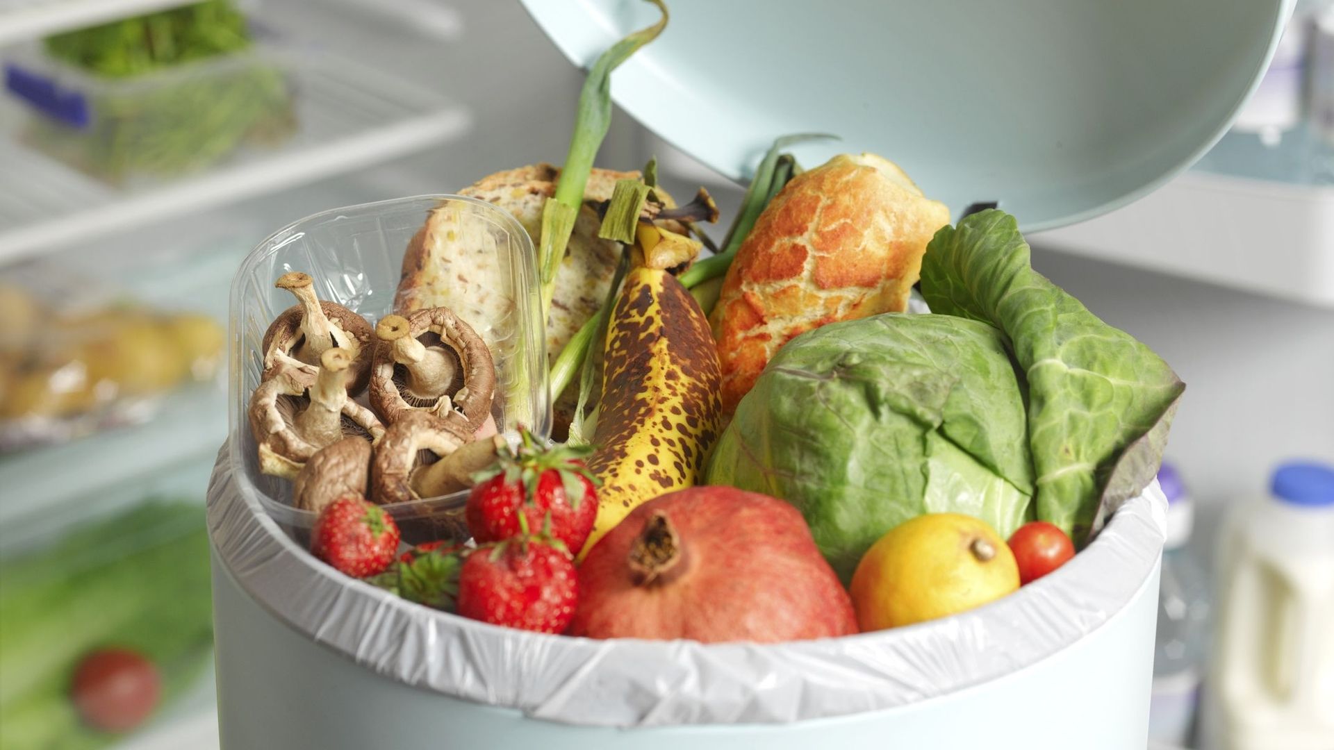Nous avons chacun jeté plus de 145 kg d’aliments en 2023 en Belgique