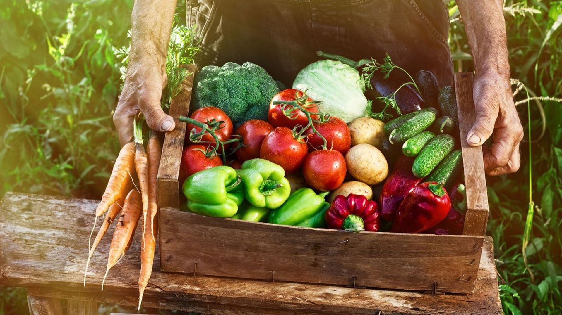 Un nouveau label pour les fruits et légumes frais: "Zéro résidu de pesticides" 