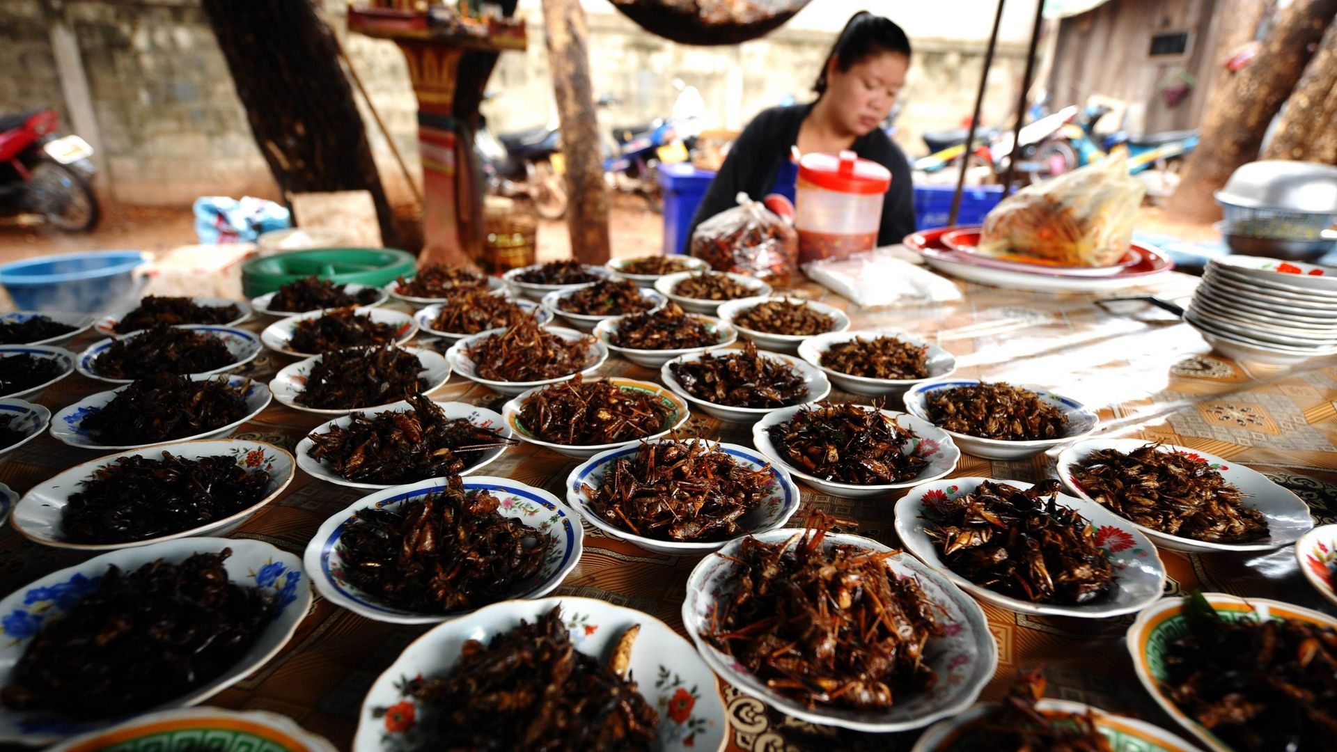Des insectes, dont des sauterelles, sur un marché de Vientiane, au Laos, l’une des nombreuses régions du monde où les insectes et leurs protéines font partie du menu.