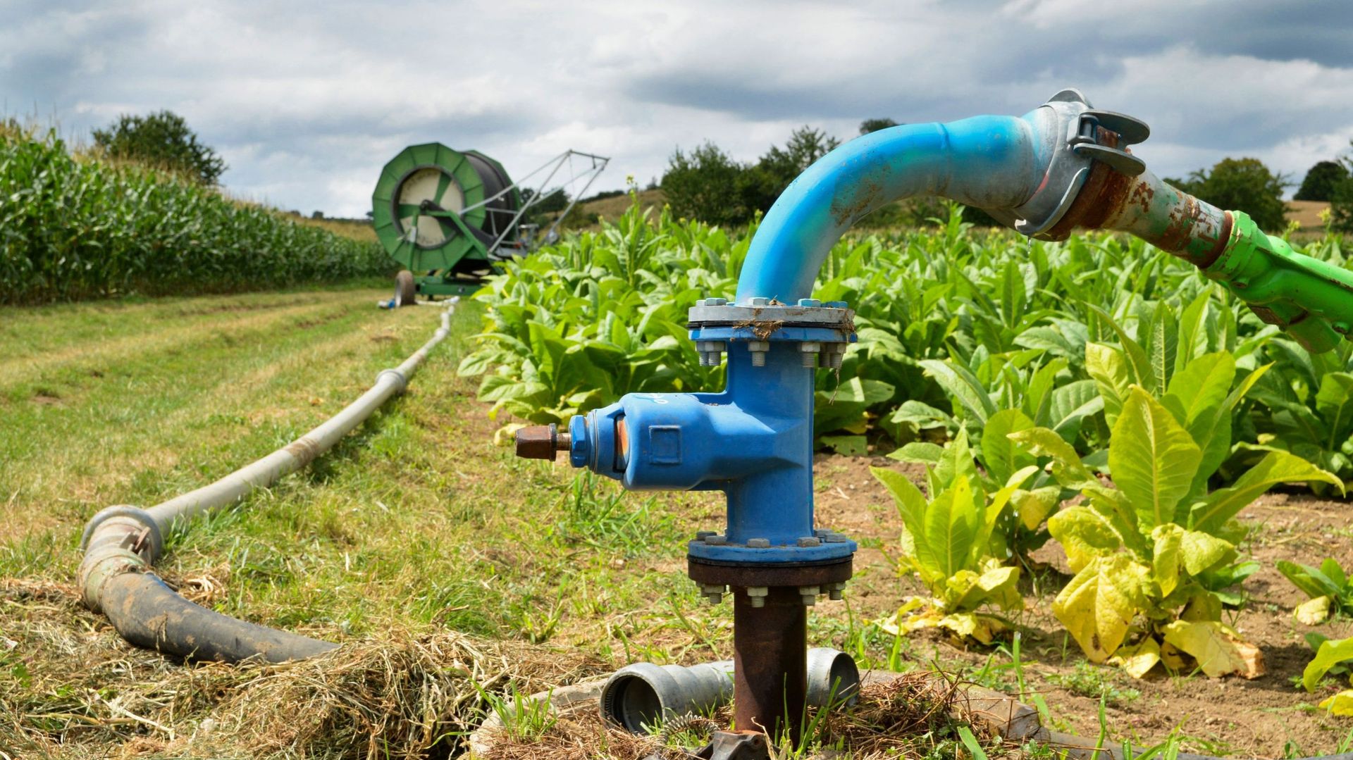 avec-trop-de-derogations-l-ue-n-encourage-pas-les-agriculteurs-a-une-utilisation-durable-de-l-eau-conclut-un-rapport-de-la-cour-des-comptes