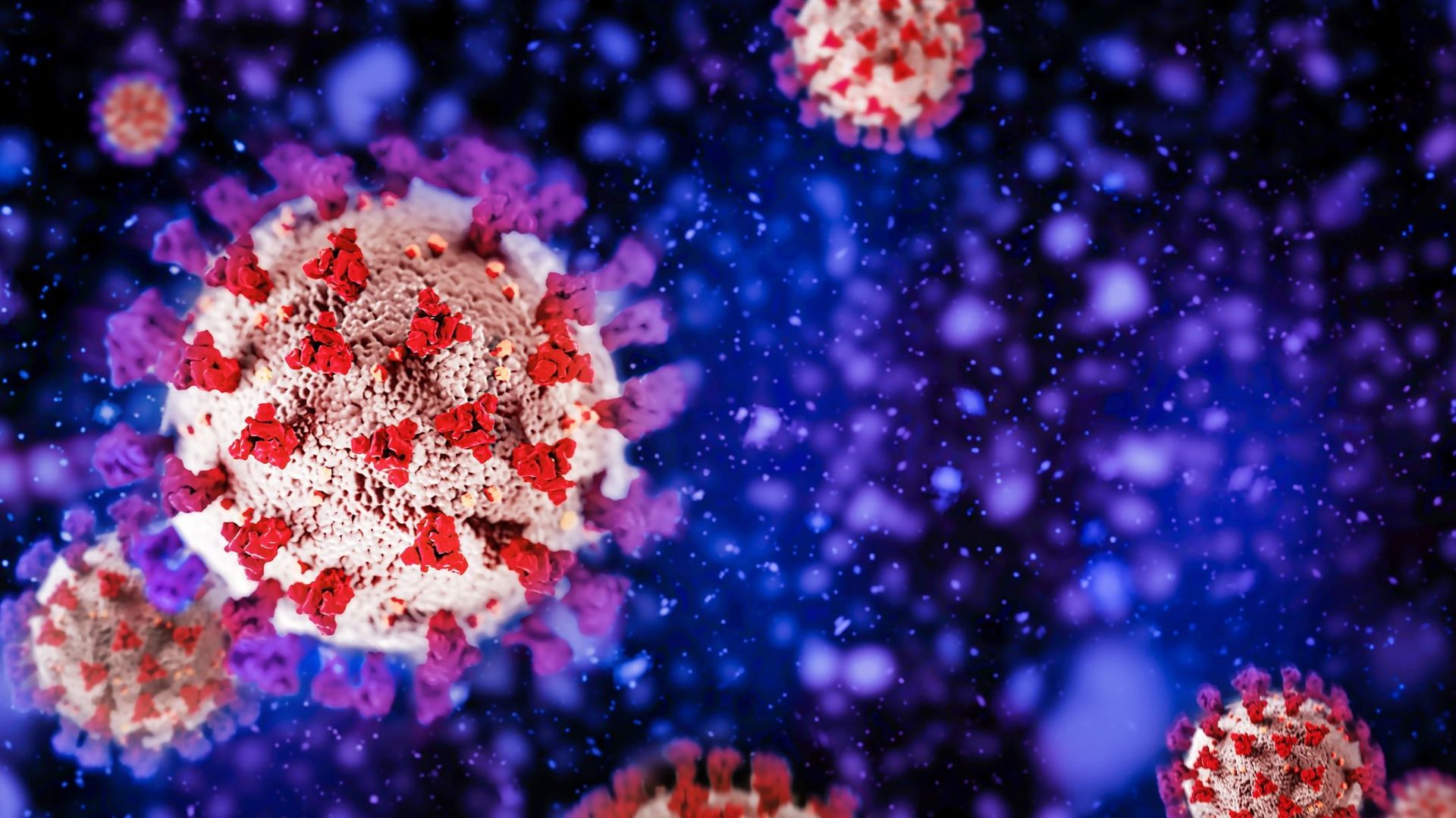 Coronavirus : le variant Omicron résiste aux anticorps mais pas à la troisième dose, selon une étude franco-belge