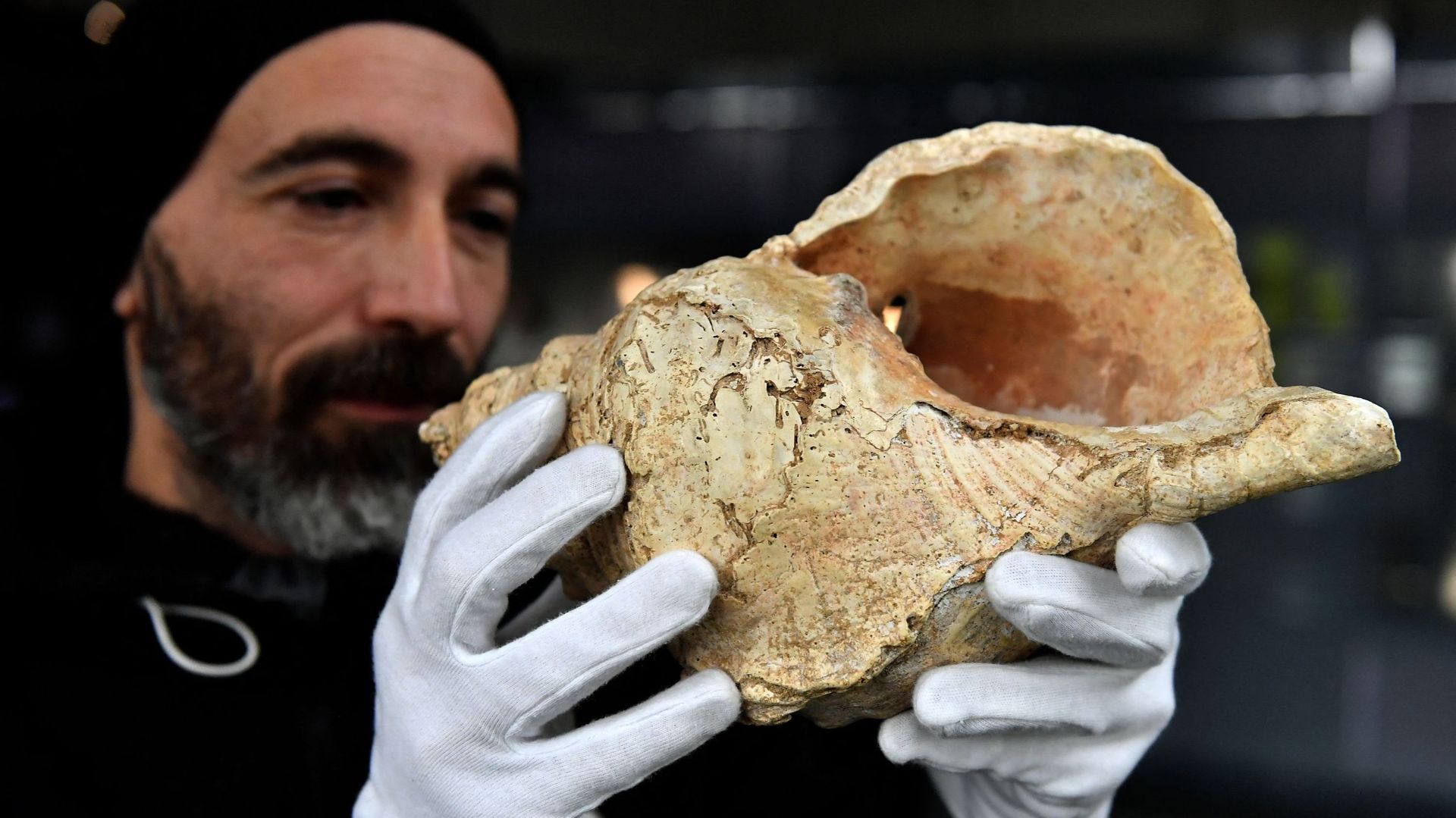 Ce coquillage de 18.000 ans est la plus ancienne conque musicale du monde