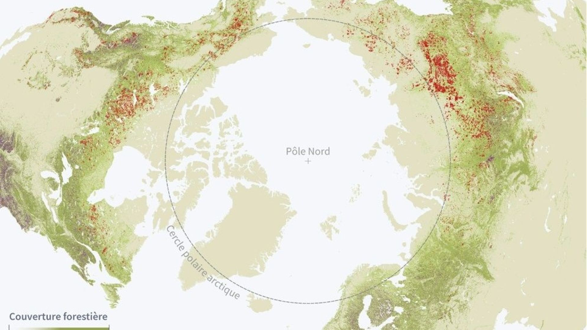 La forêt boréale brûle de plus en plus, et c'est un problème pour le climat.