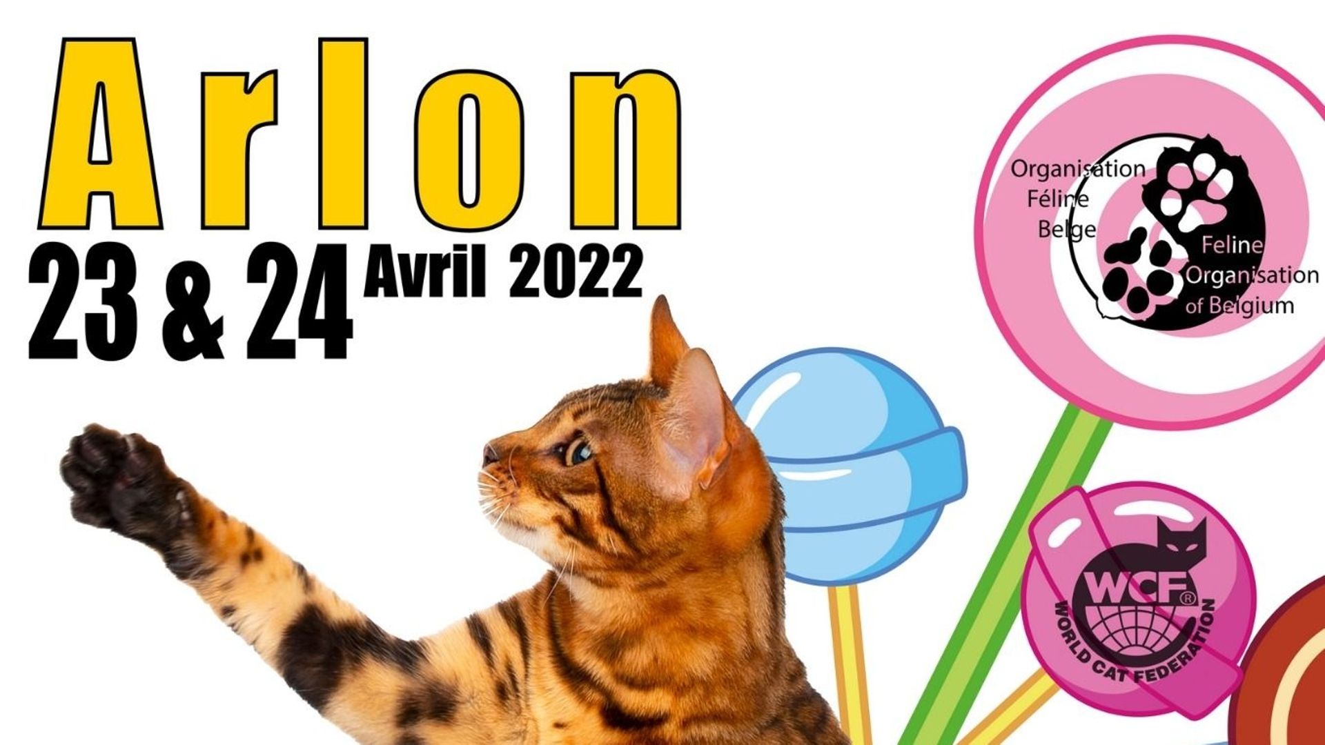 Exposition mondiale de chats à Arlon