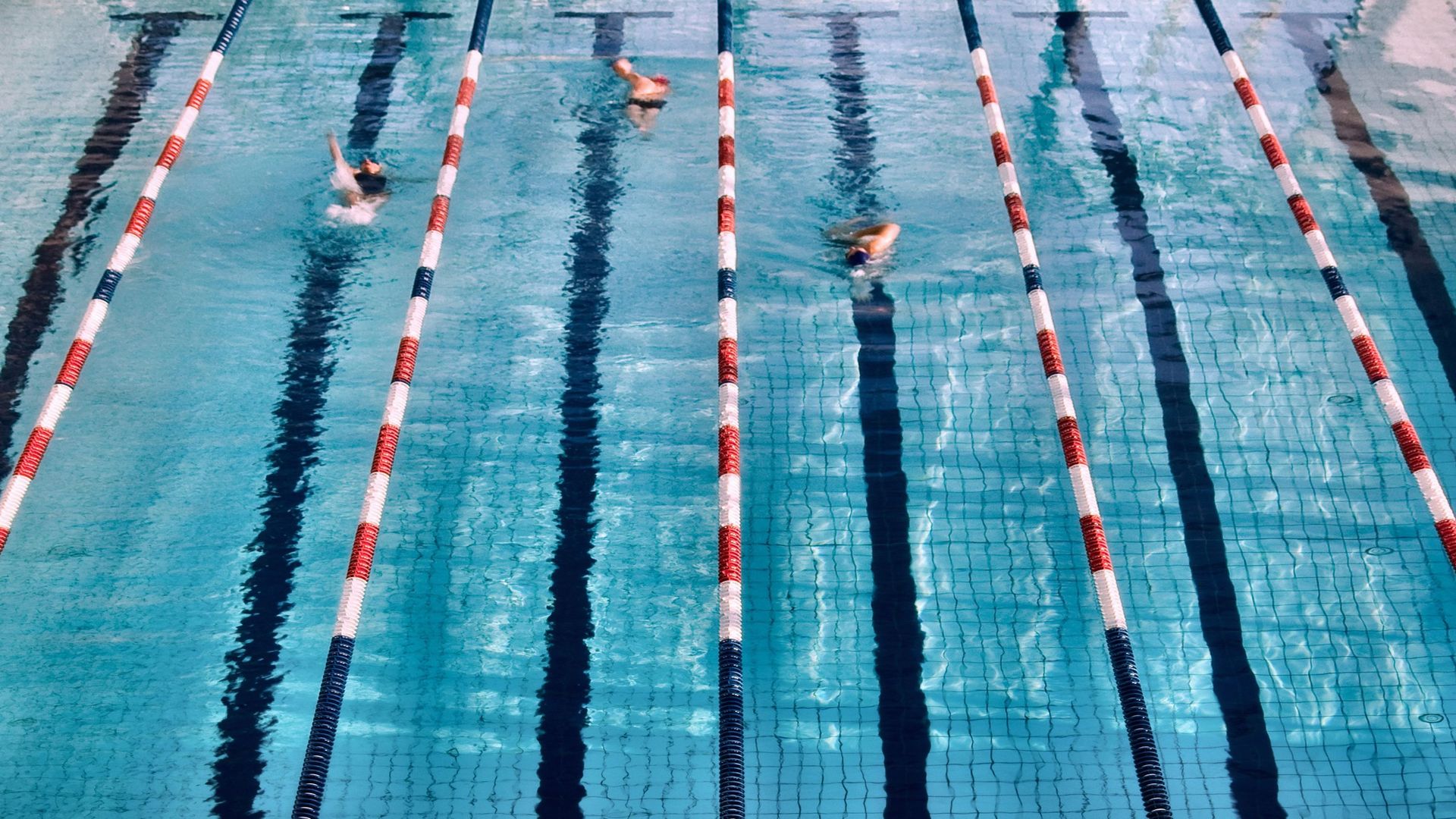 Une piscine de 25 mètres avec 6 couloirs à Eghezée ? Un projet est à l’étude pour permettre aux habitants d’Eghezée, La Bruyère et Fernelmont d’avoir accès à un bassin de natation près de chez eux.