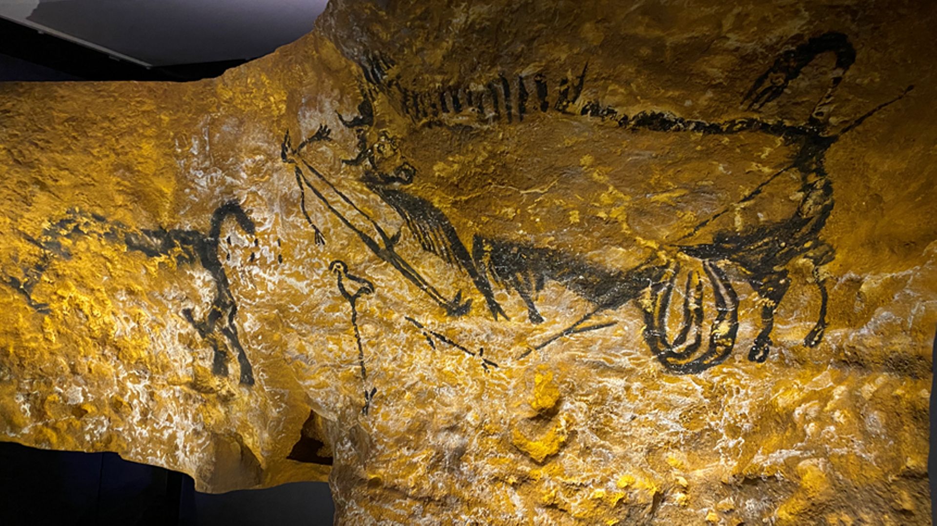Fermée au public depuis 1963, la grotte de Lascaux est célèbre pour ses peintures et gravures d'animaux vieilles de 20 000 ans.