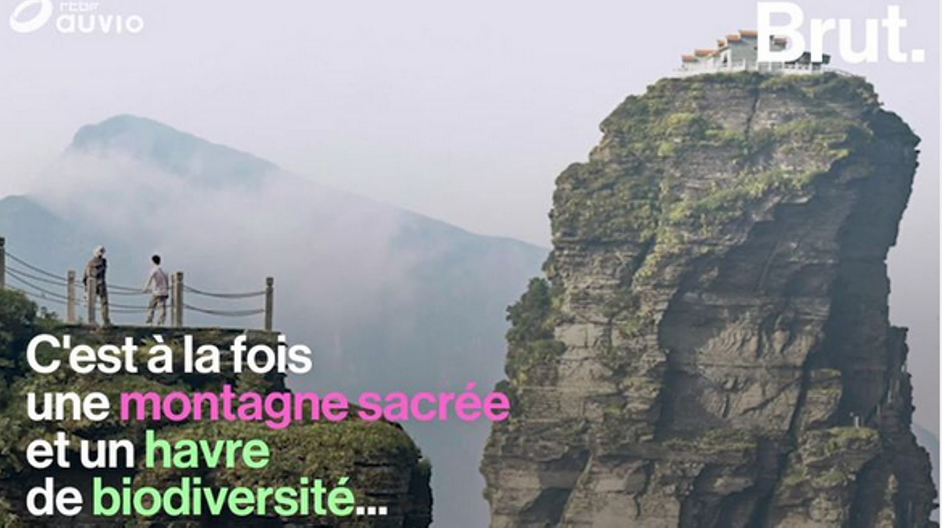 Le Mont Fanjing, un havre de biodiversité sacré pour les bouddhistes