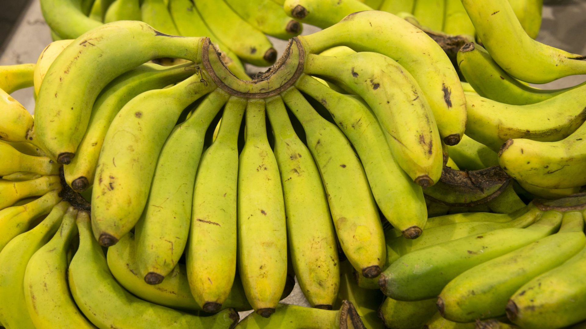 Caisse de Bananes
