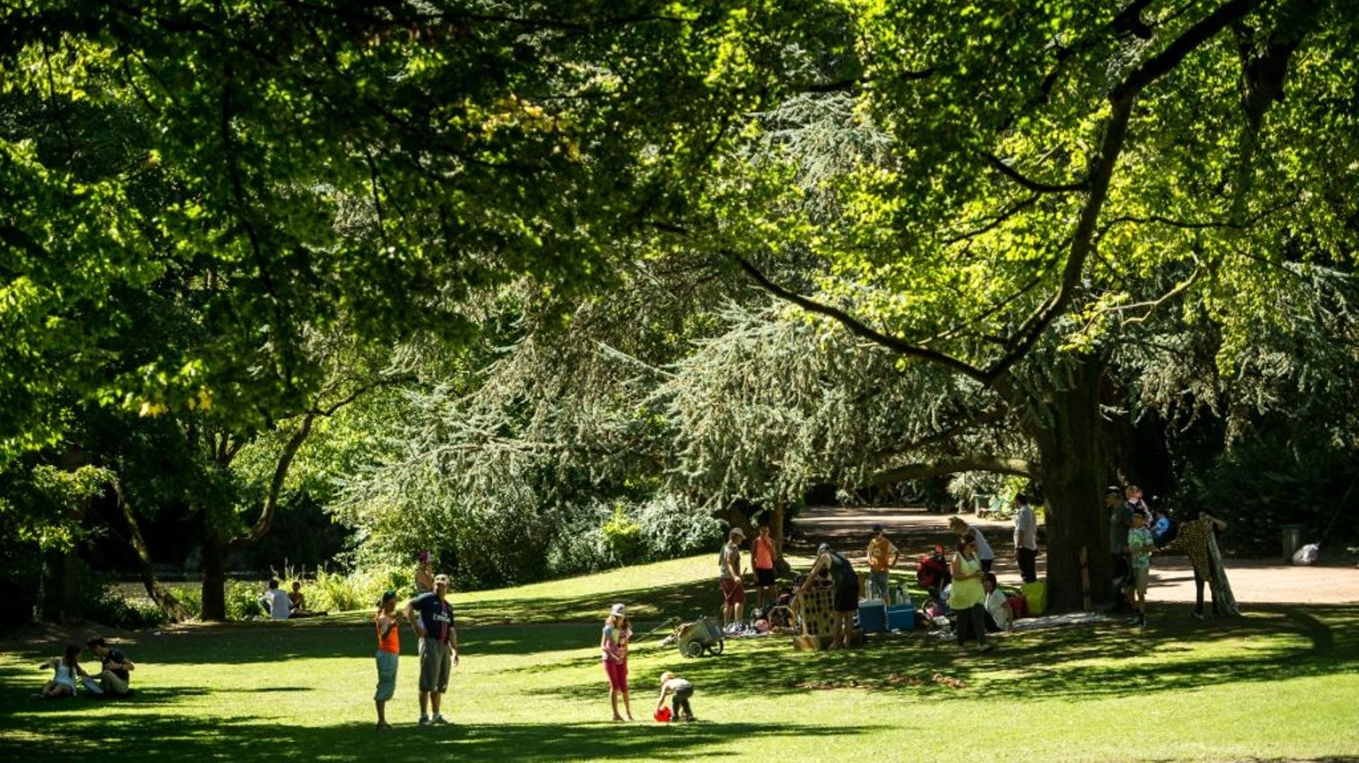 Plus de verdure, moins de pollution : en ville, la recette pour une meilleure santé