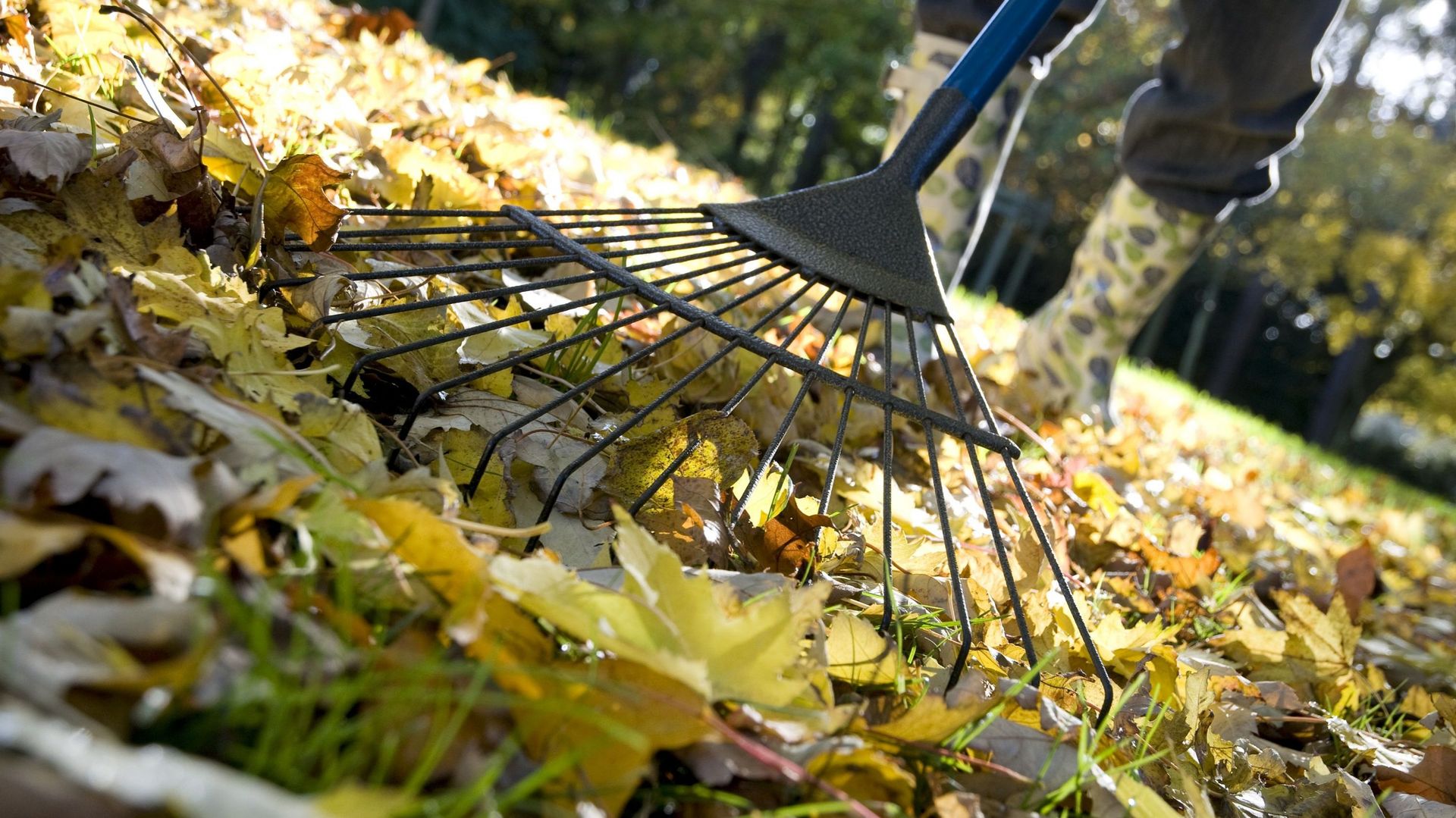 Automne : une saison propice pour travailler au jardin