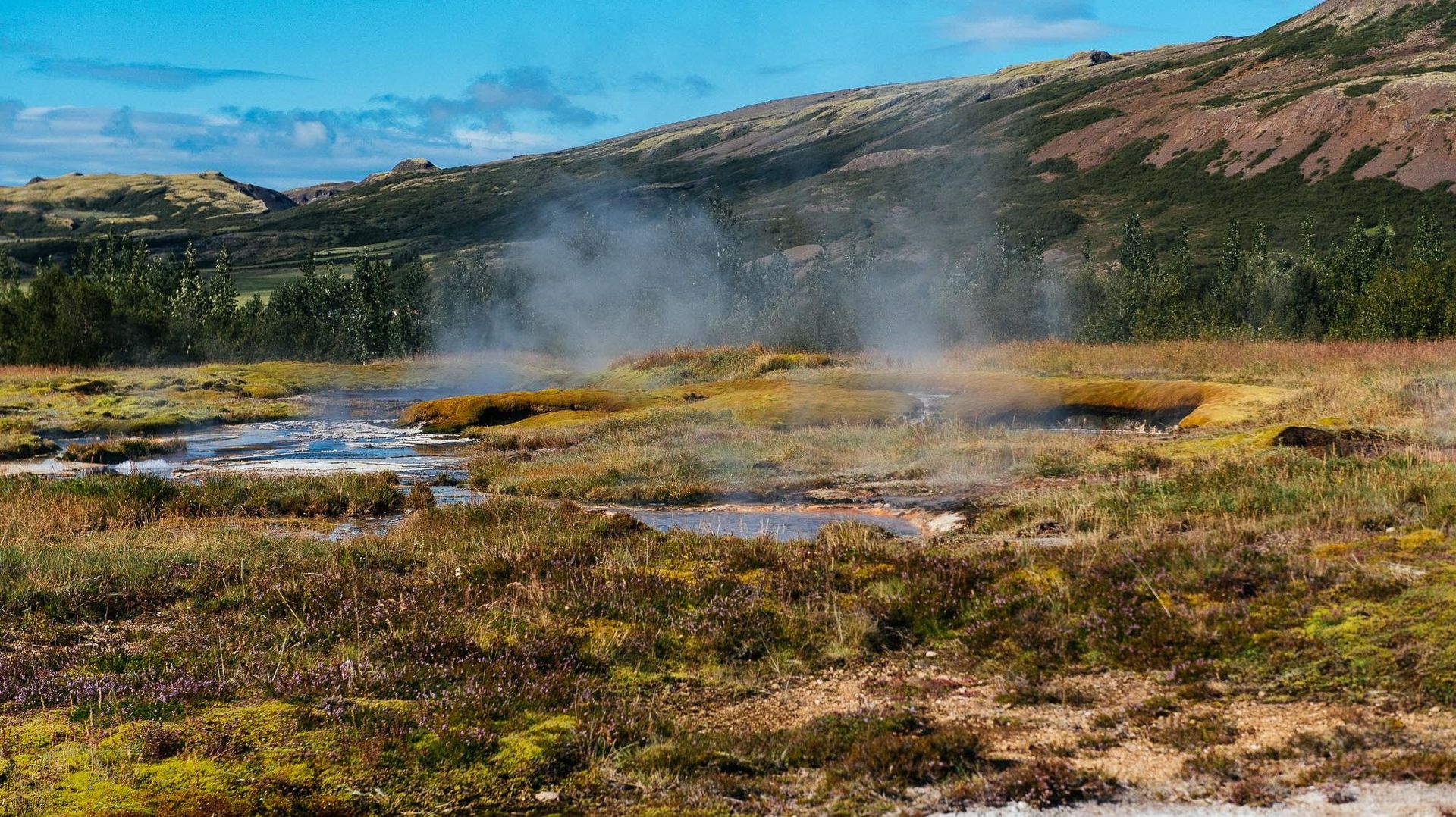Dans la région de Flúdir, comme partout en Islande, le sol est bouillonnant, fumant et la chaleur naturelle est visible à l’œil nu. 