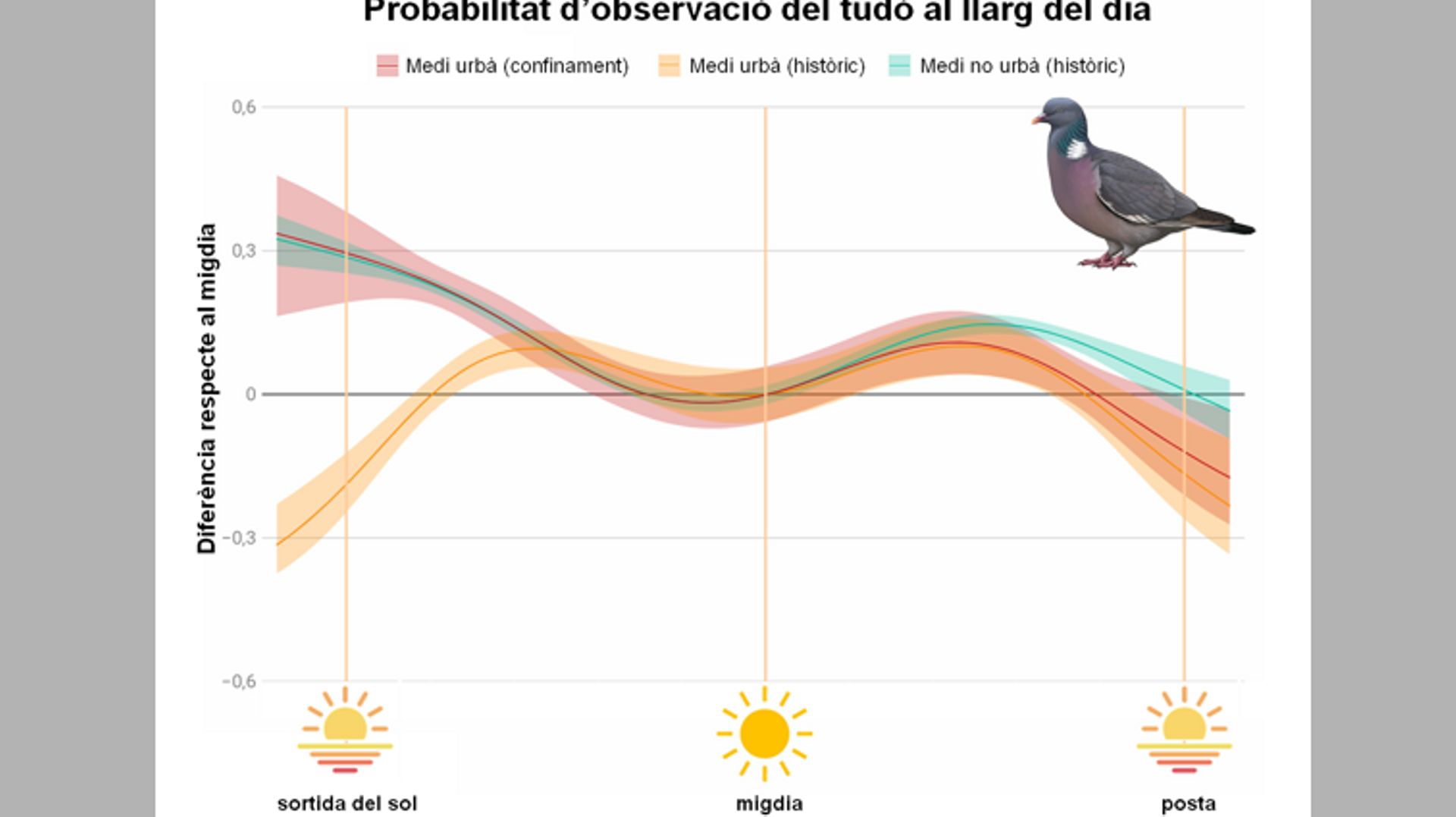 Sur ce graphique de l'Institut catalan d'ornithologie, on constate -en rouge- que les oiseaux urbains sont plus nombreux à chanter le matin durant le confinement