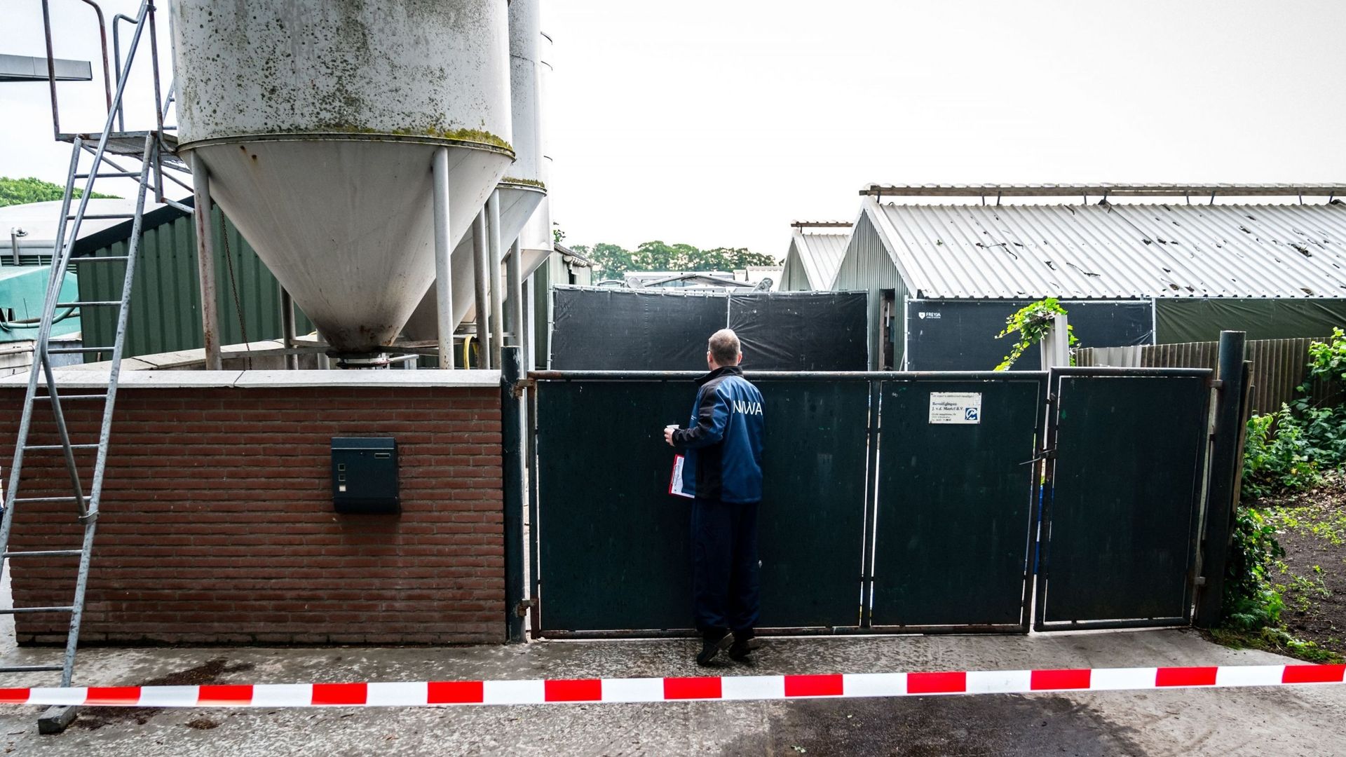 Un élevage de visons fermé à Deurne aux Pays-Bas suite à une infection au coronavirus.