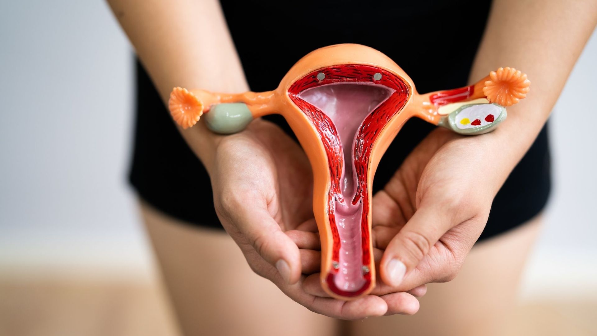 Ces chercheurs d'Harvard ont mis au point un vagin artificiel pour mieux étudier et comprendre les maladies gynécologiques.