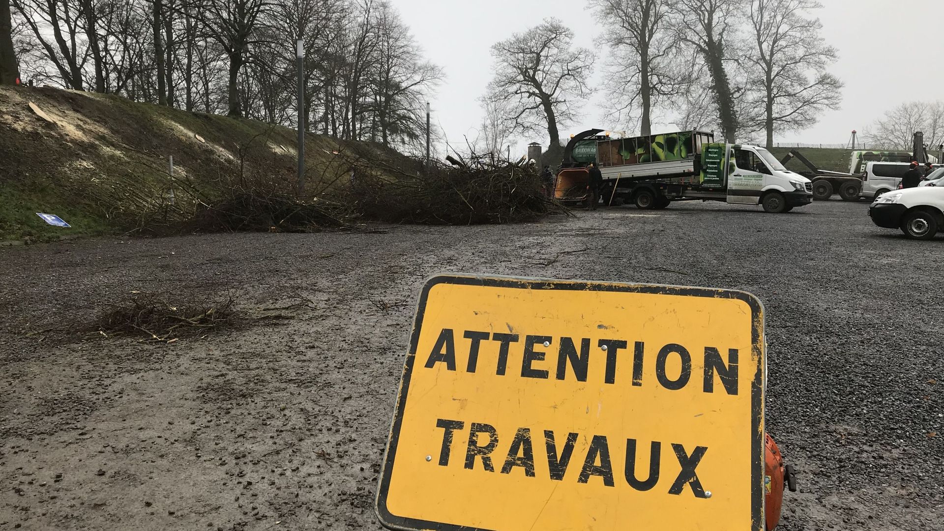 Travaux d'abattage d'arbres sur le site Terra Nova sur la citadelle de Namur