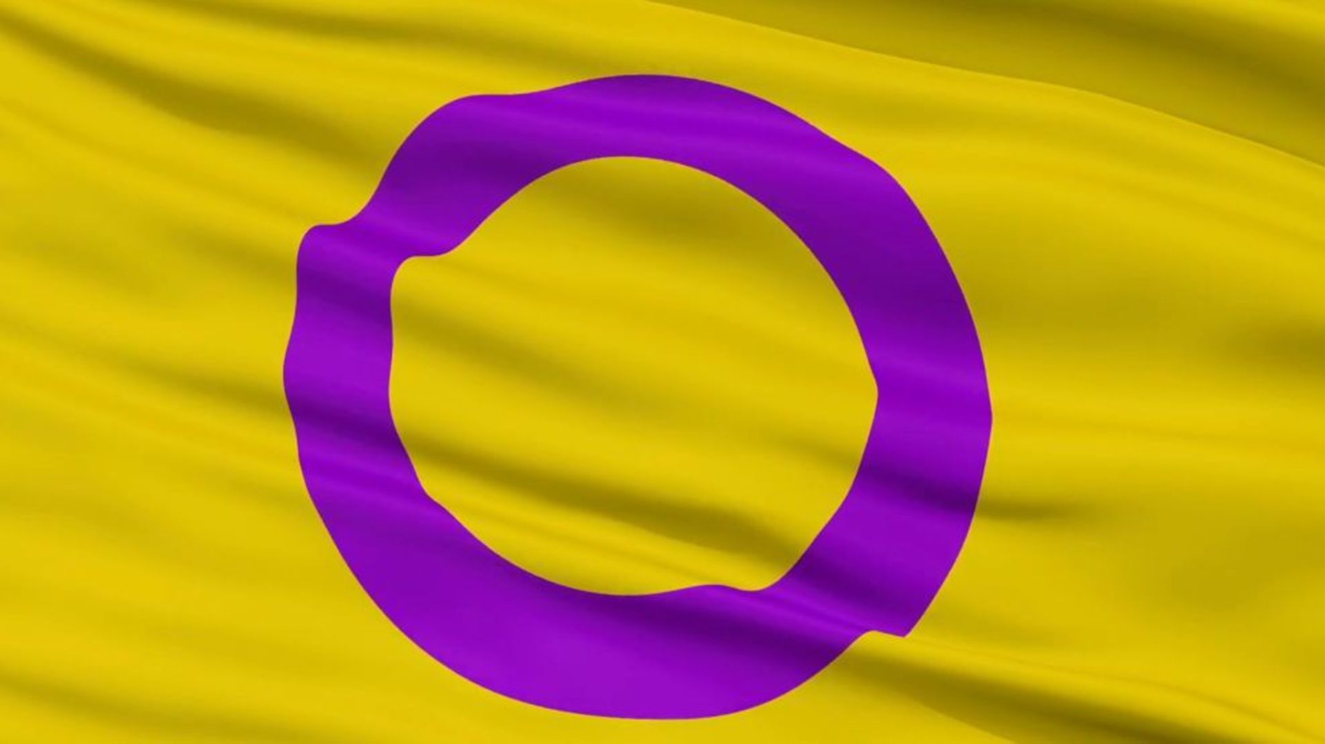 drapeau intersexe : le violet est l'addition du bleu et du rose, le cercle fermé symbolise la plénitude, le jaune est non associé aux rôles de genre.