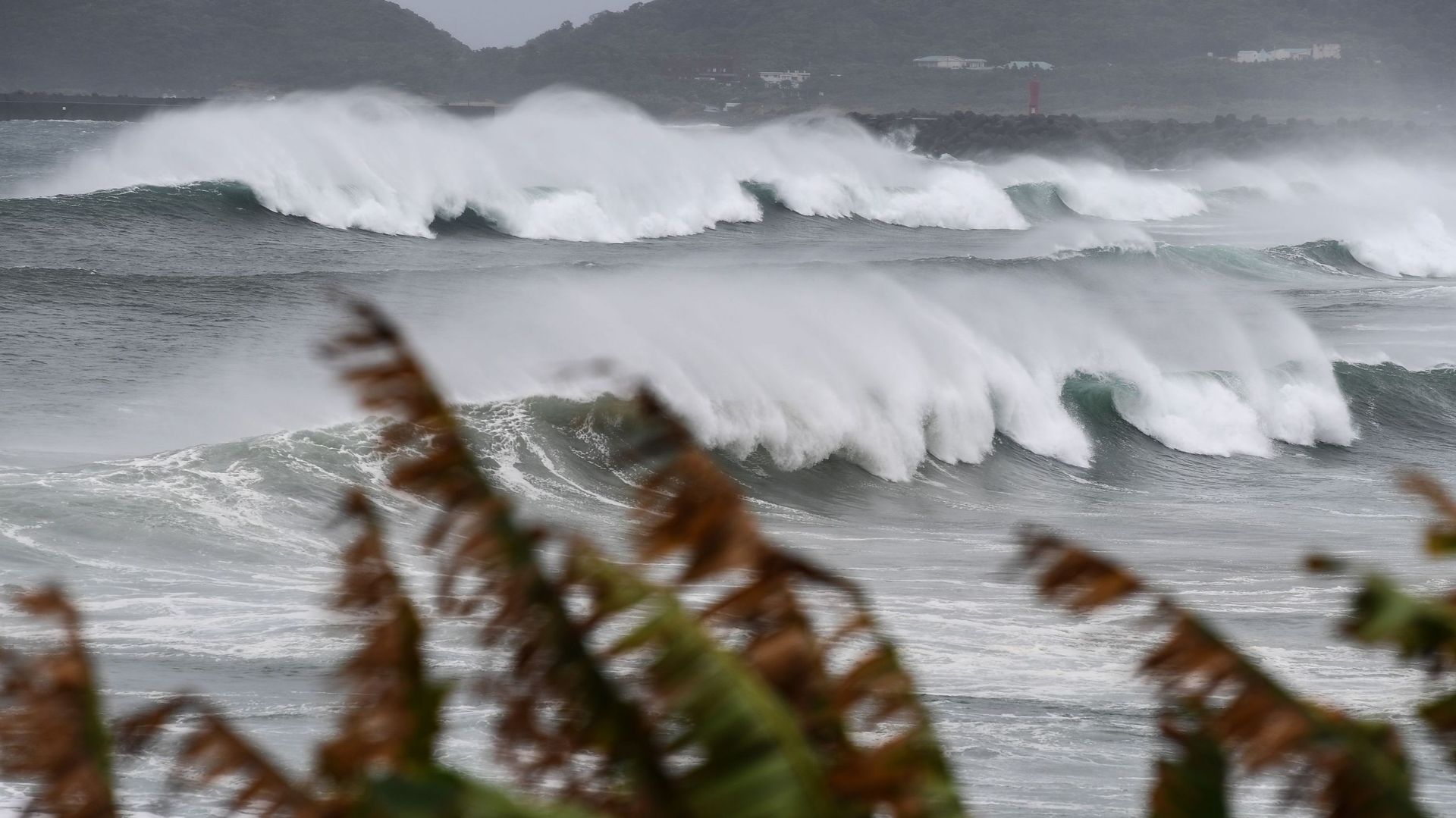 Le typhon Haishen, catégorisé comme "extrêmement fort", a touché le Japon