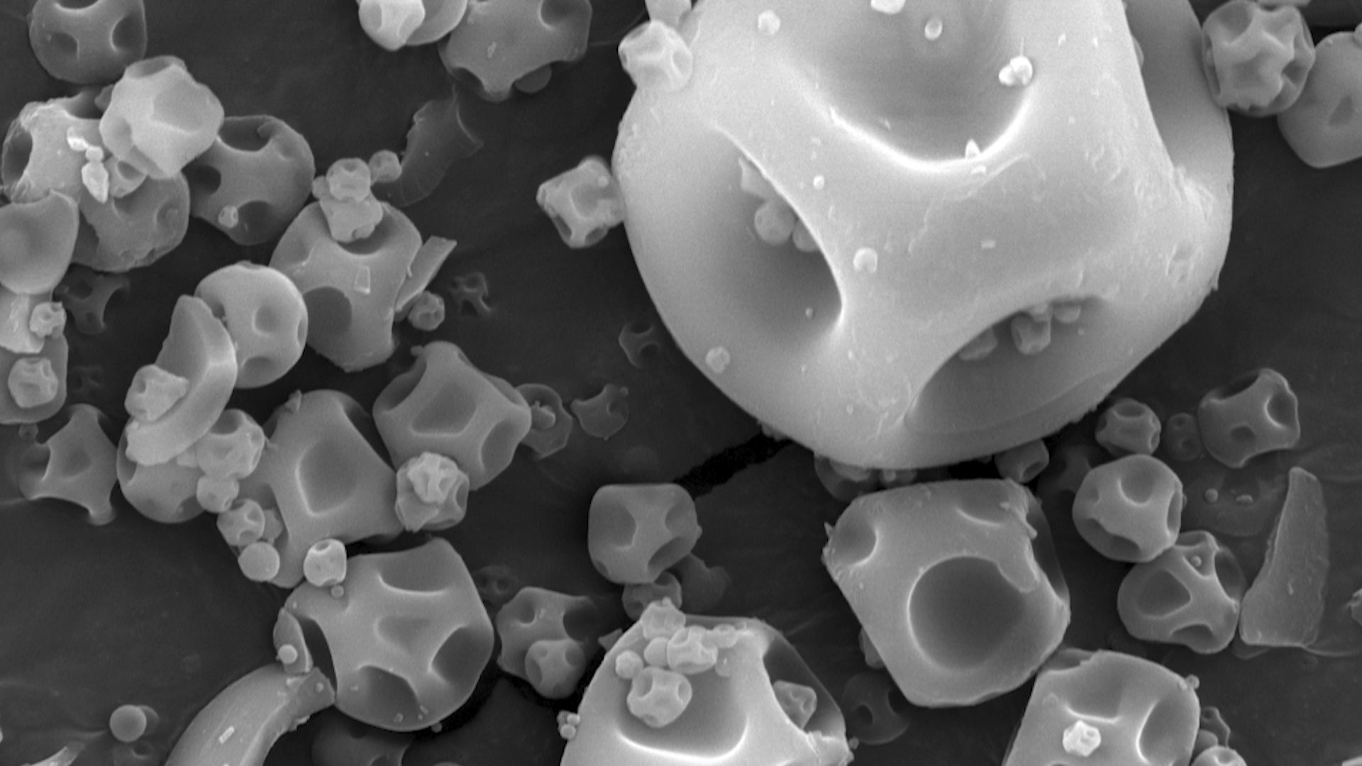 L’observation au microscope permet de voir les aspérités à la surface des molécules. Un peu comme des micros balles de golf qui permettent de se déplacer plus facilement dans l’air.