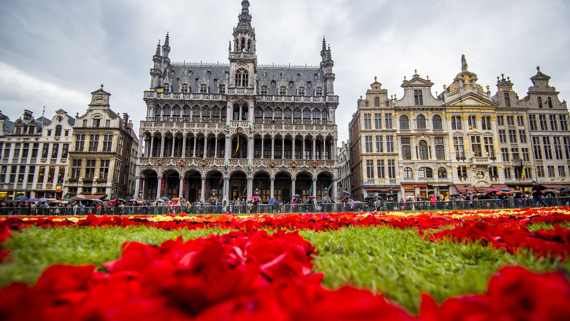 Le Tapis de fleurs sur la Grand-Place de Bruxelles, en août 2014