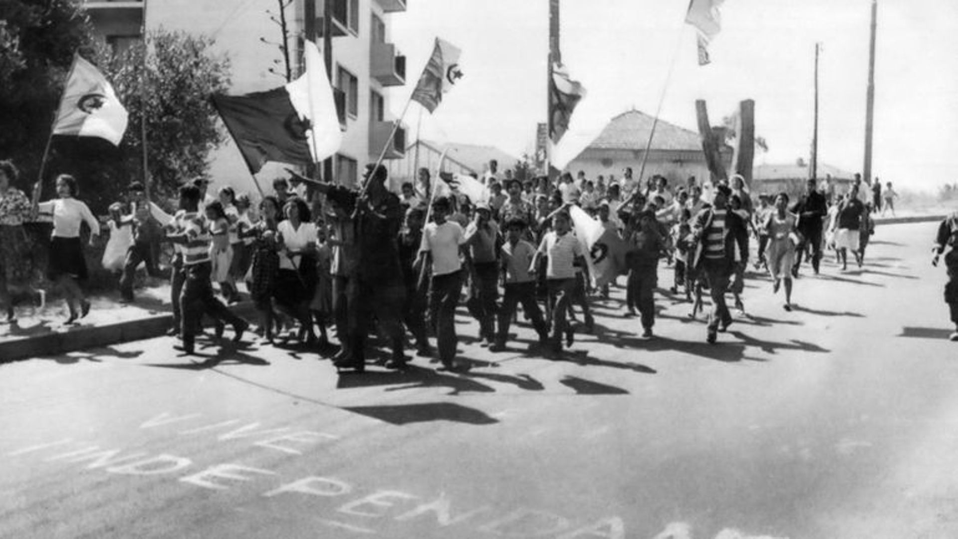 Потери франции в алжире. ОАС Франция Алжир. Алжир разминирование 1962. Algerian History.
