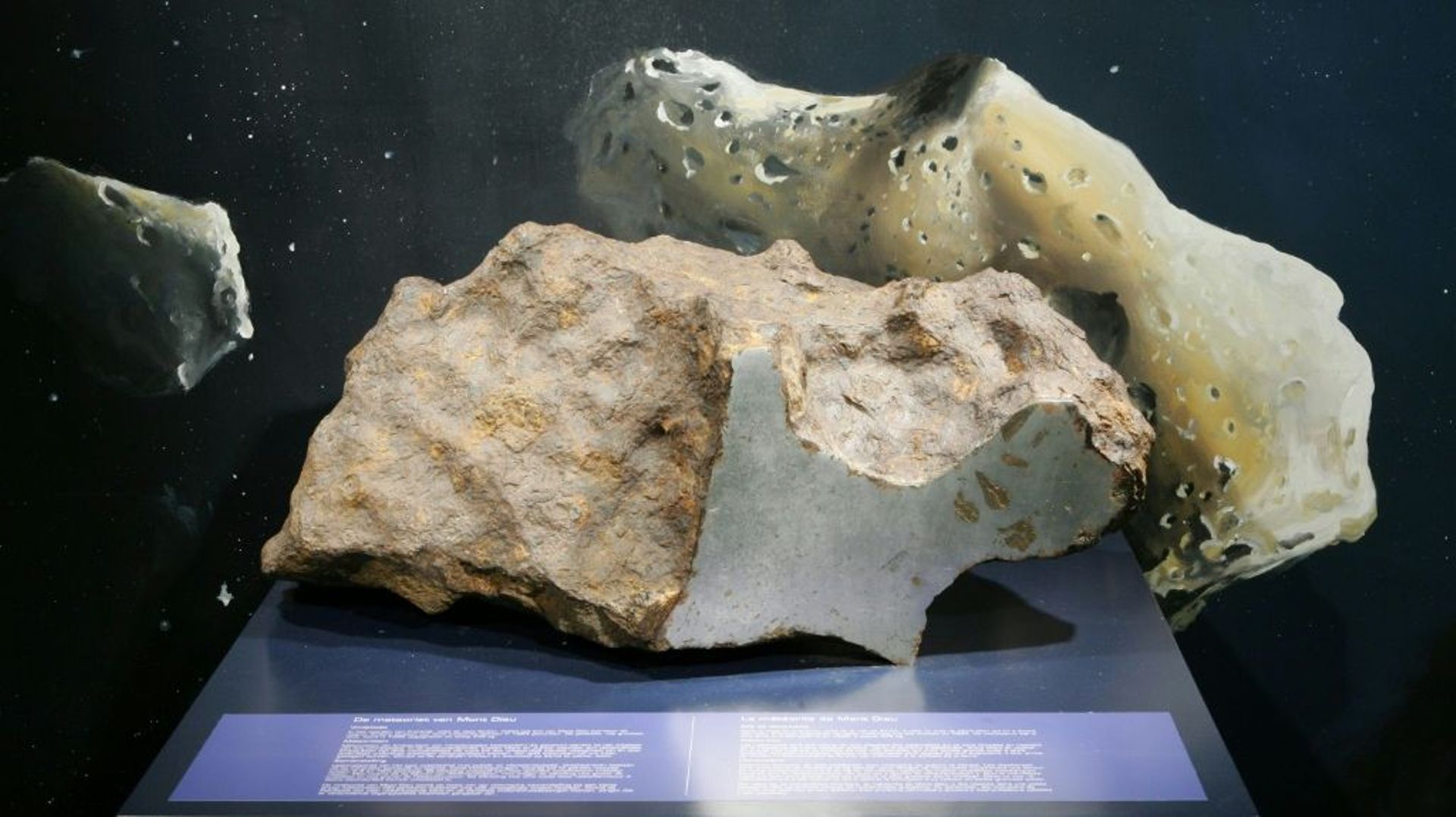La météorite du Mont-Dieu exposée à l'Institut royal des Sciences naturelles de Bruxelles en février 2007