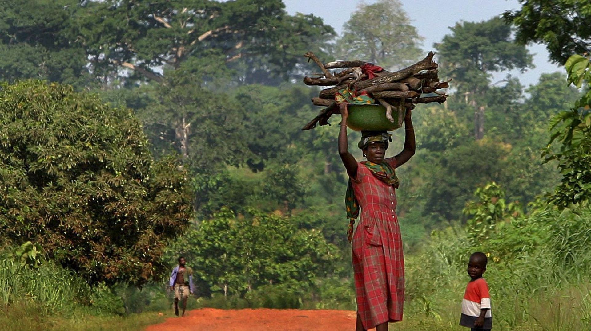 Au Togo, l'agroforesterie donne des résultats remarquables