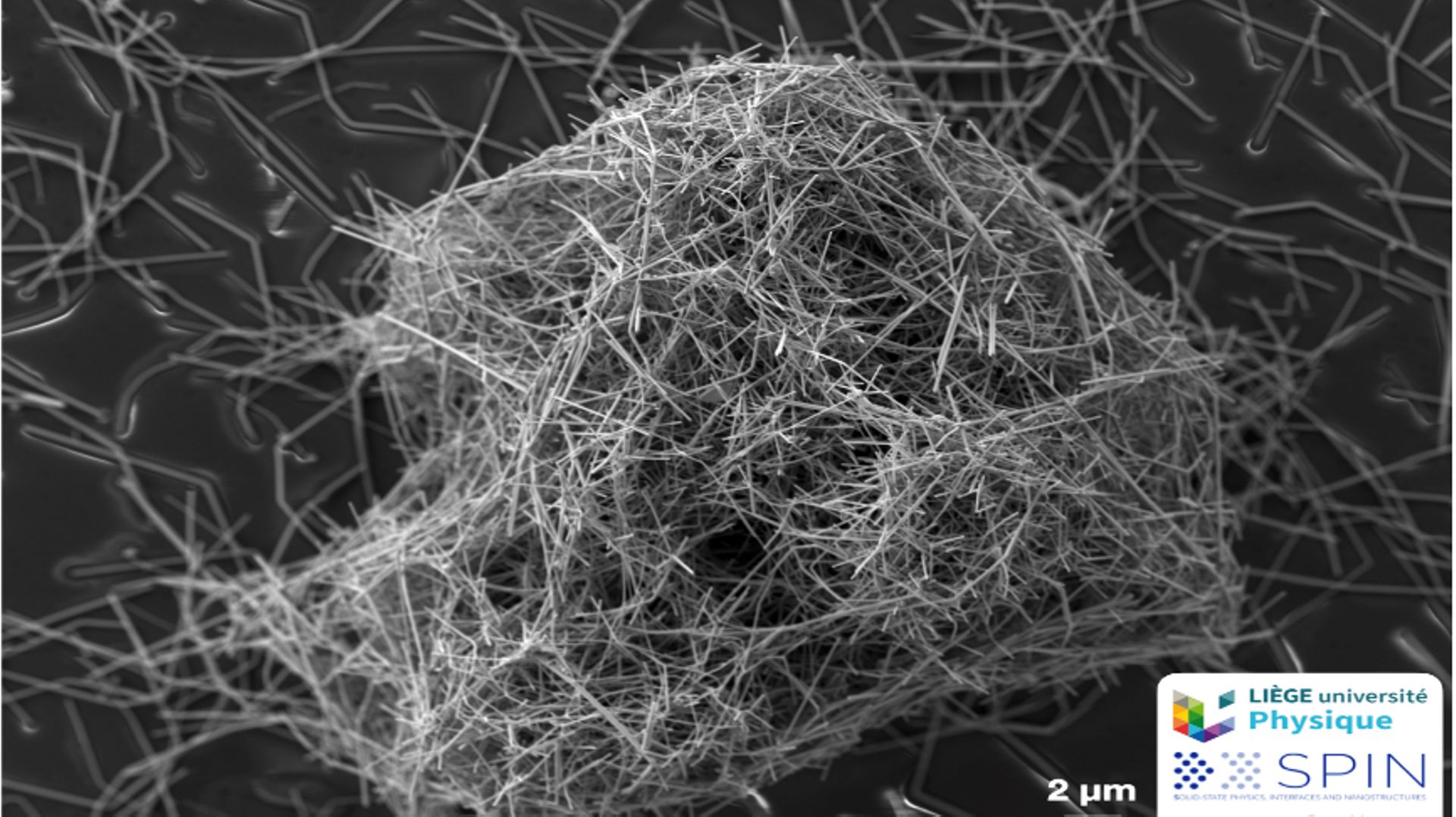 Agglomérat de nanofils ‘argent dans un réseau déposé sur substrat de verre (2µm=0,002 millimètres) 