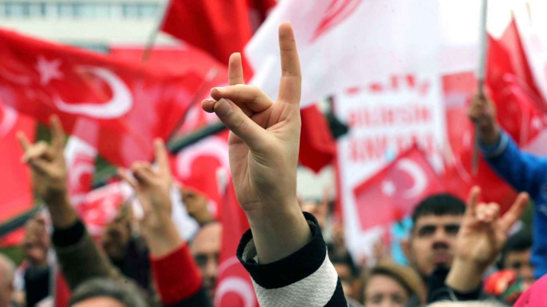 France: les Loups Gris, le mouvement ultra-nationaliste turc, devrait disparaître mercredi